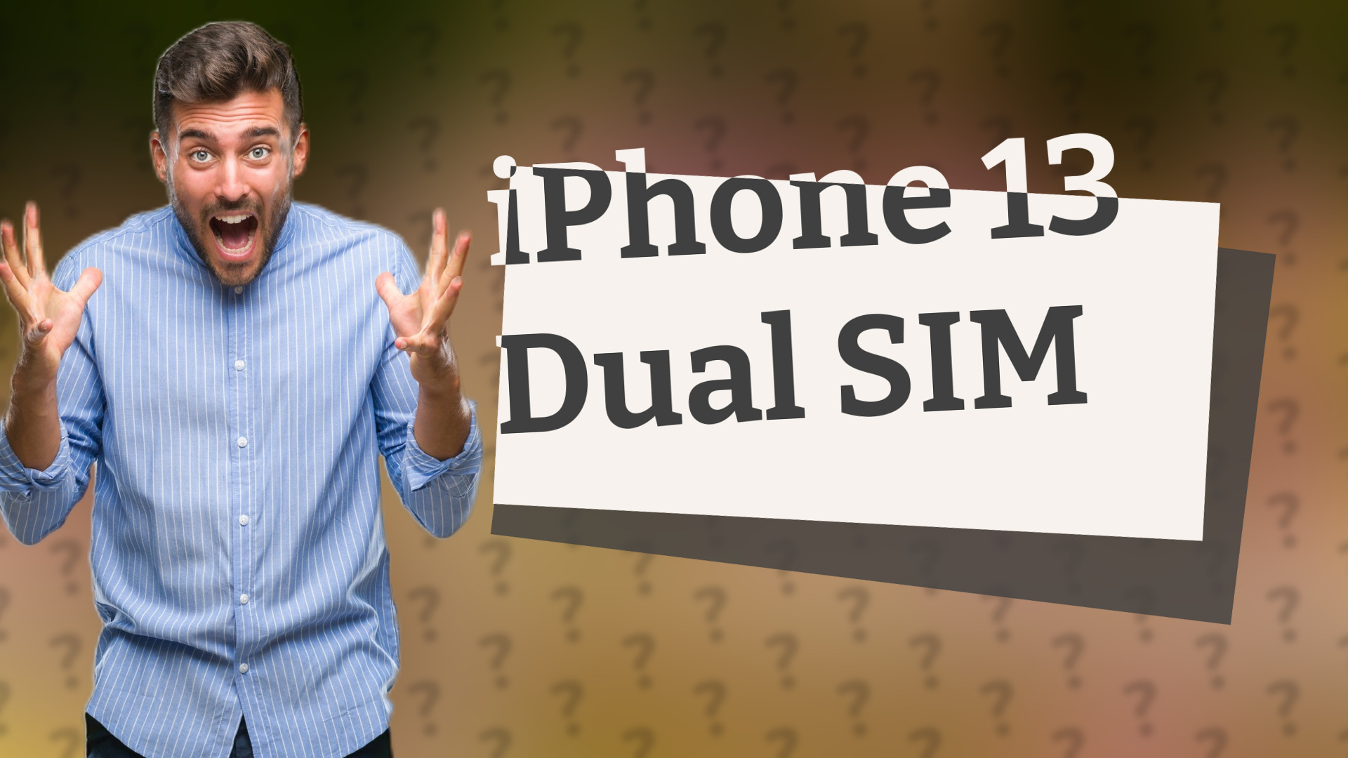 iPhone 13 Dual SIM