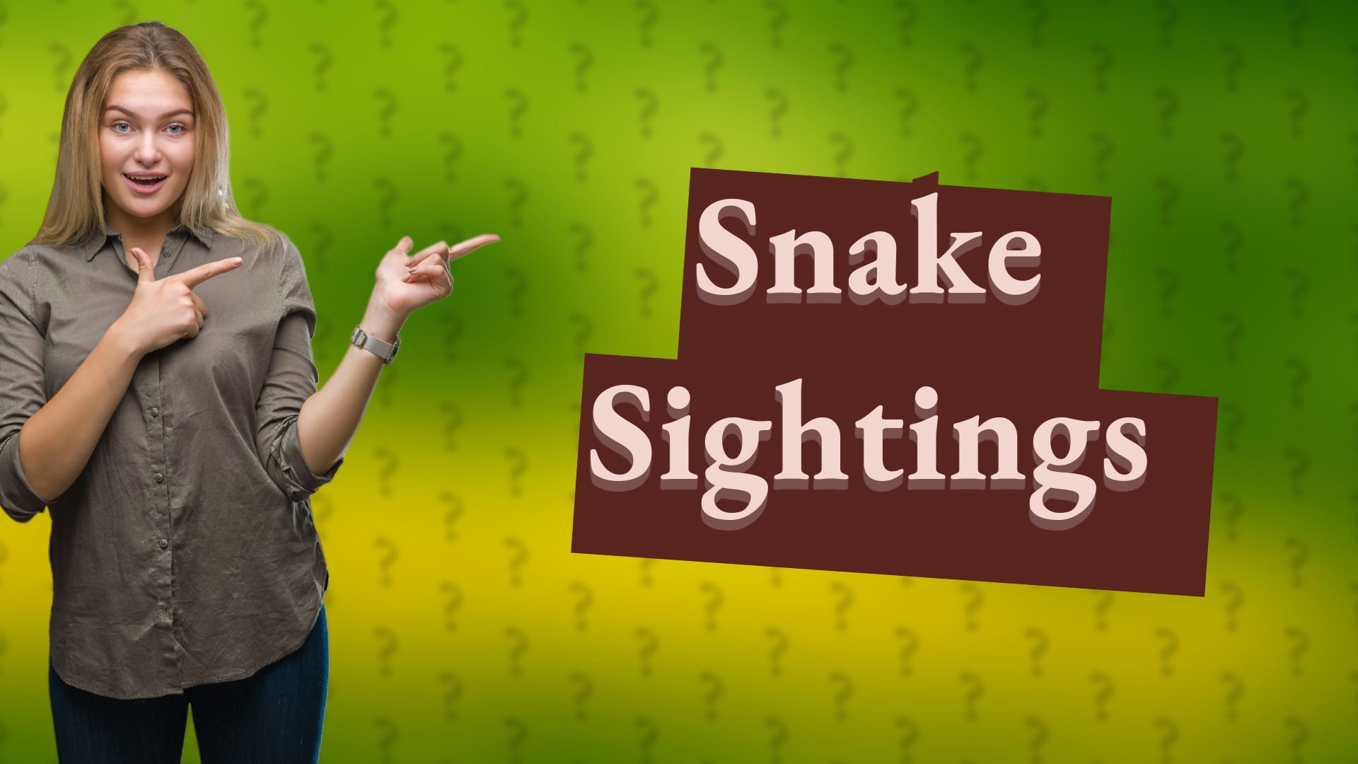 Snake Sightings