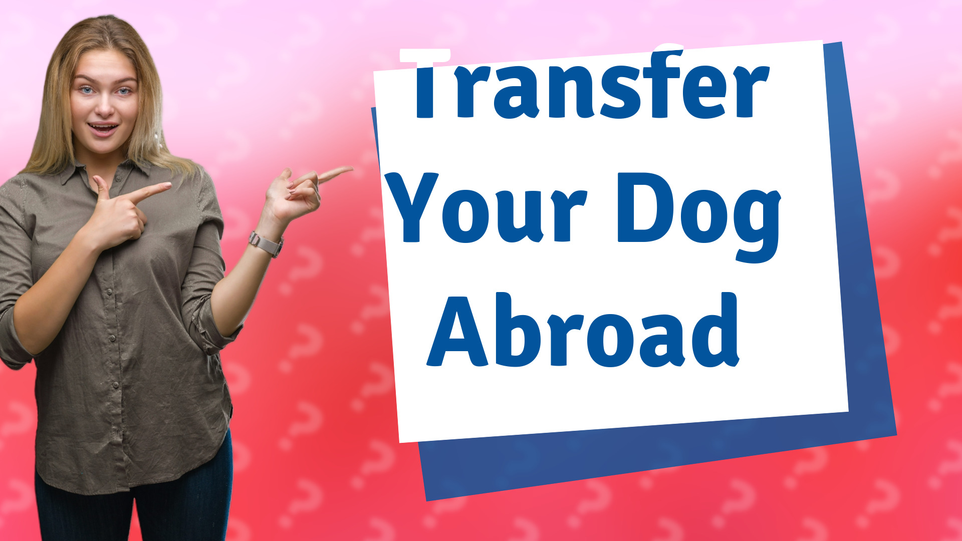 Transfer Your Dog Abroad