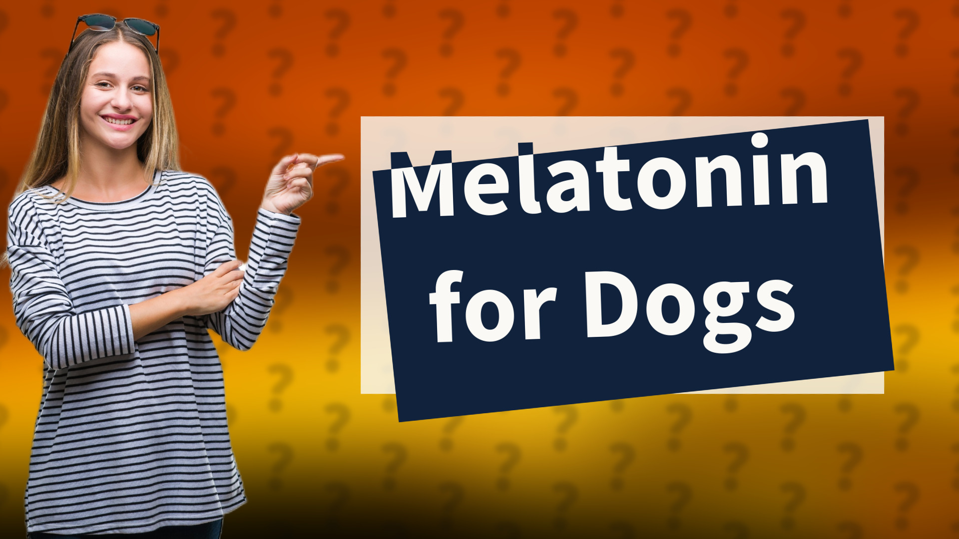 Melatonin for Dogs