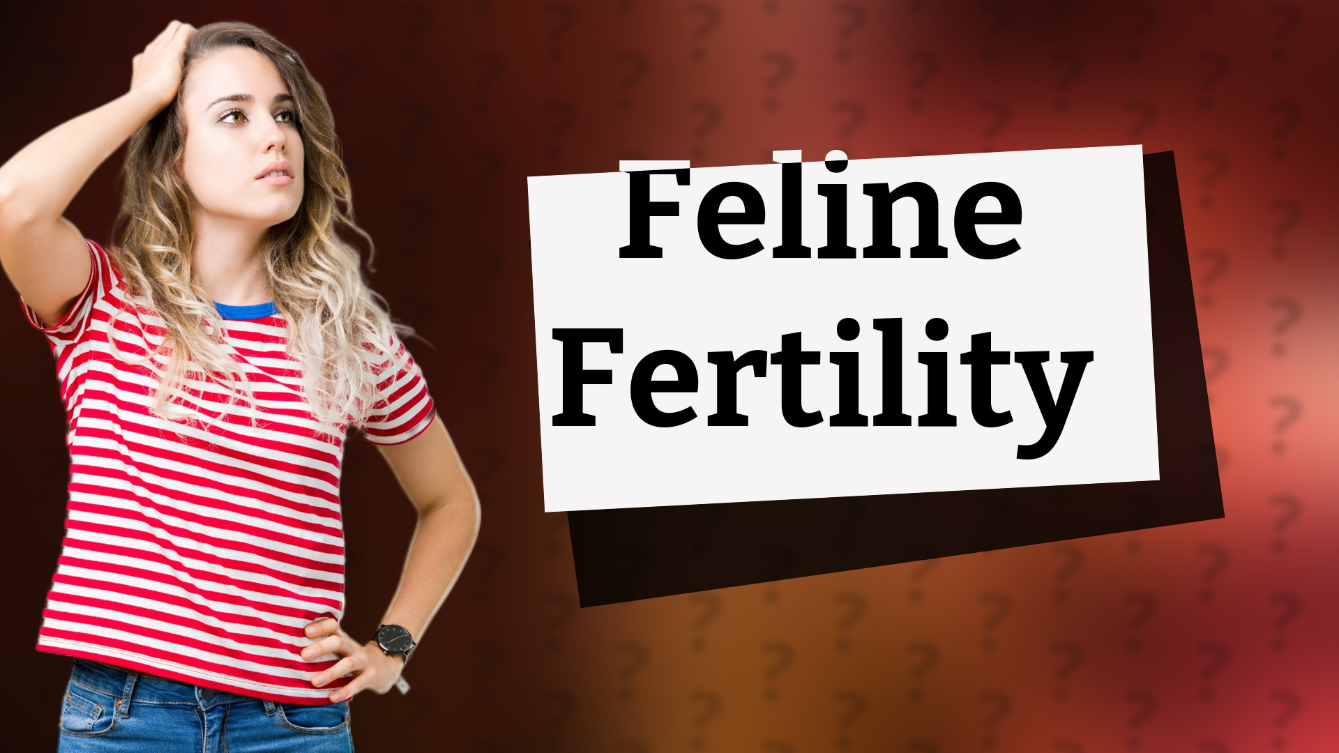 Feline Fertility