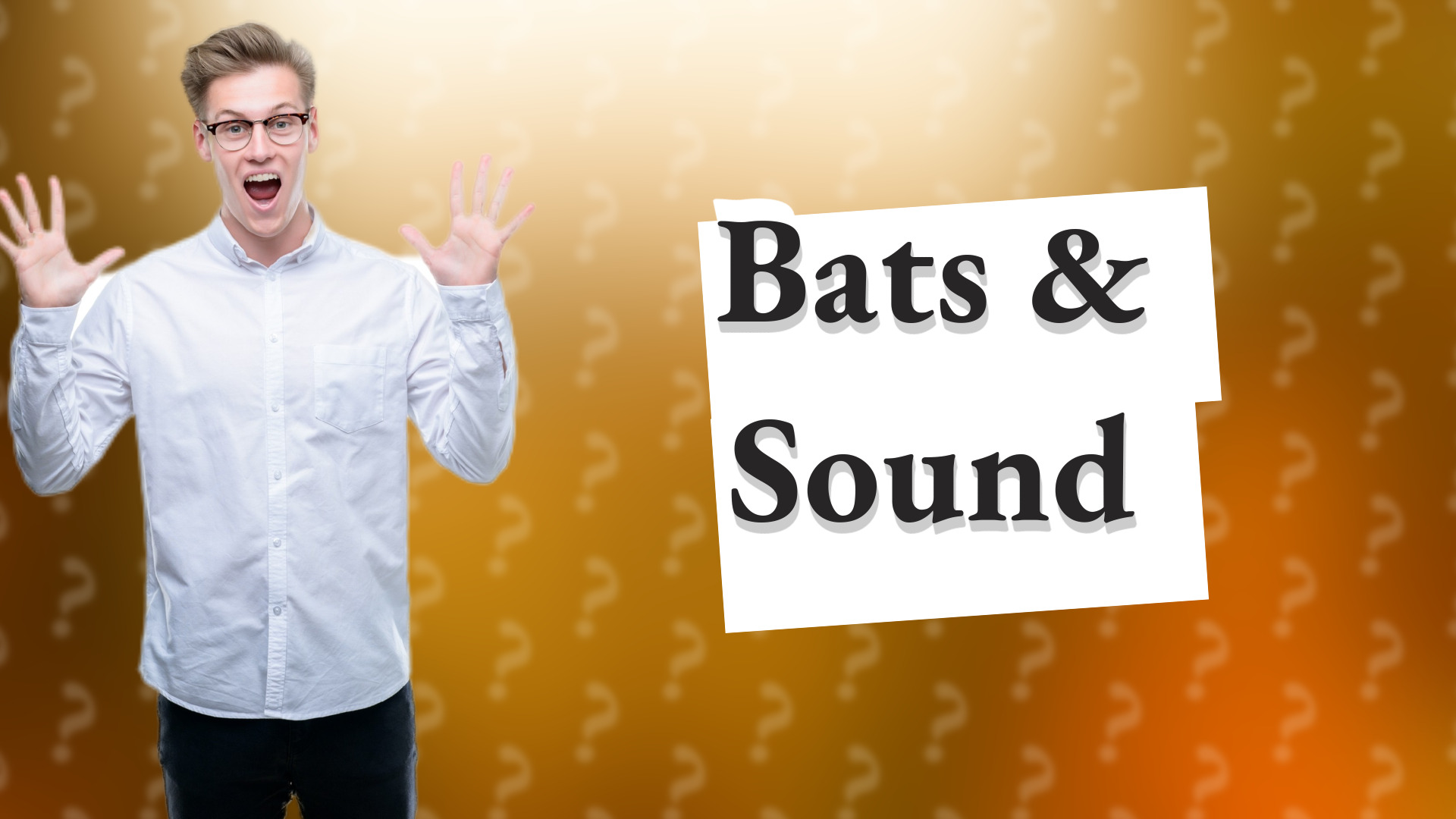 Bats & Sound