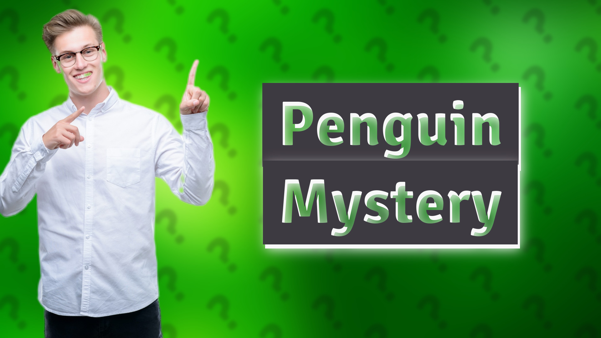 Penguin Mystery
