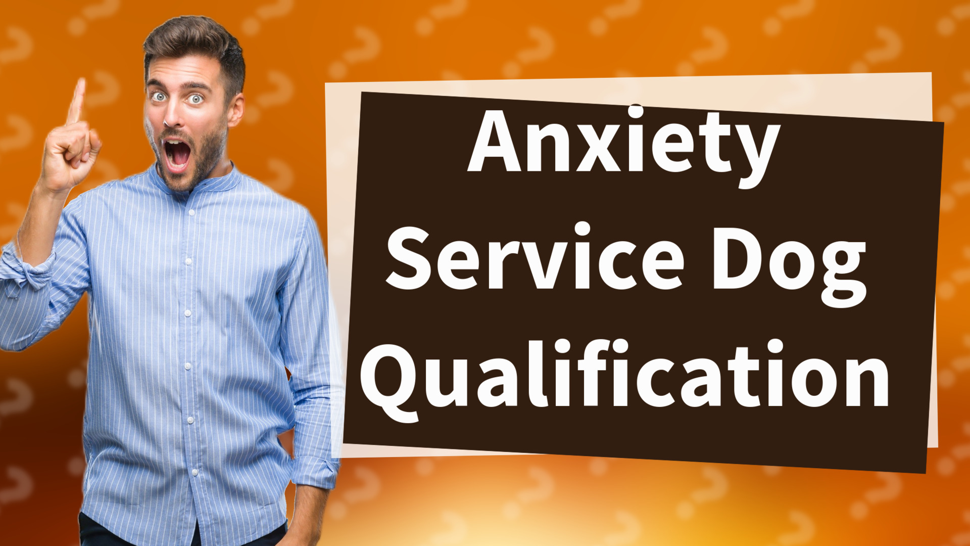 Anxiety Service Dog Qualification