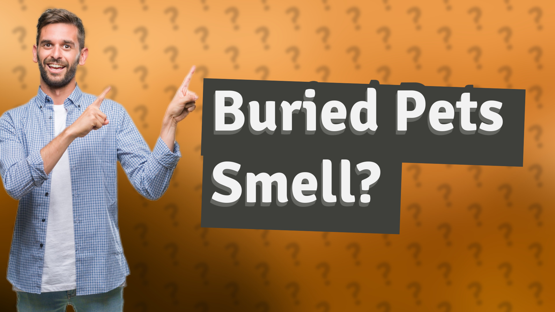 Buried Pets Smell?