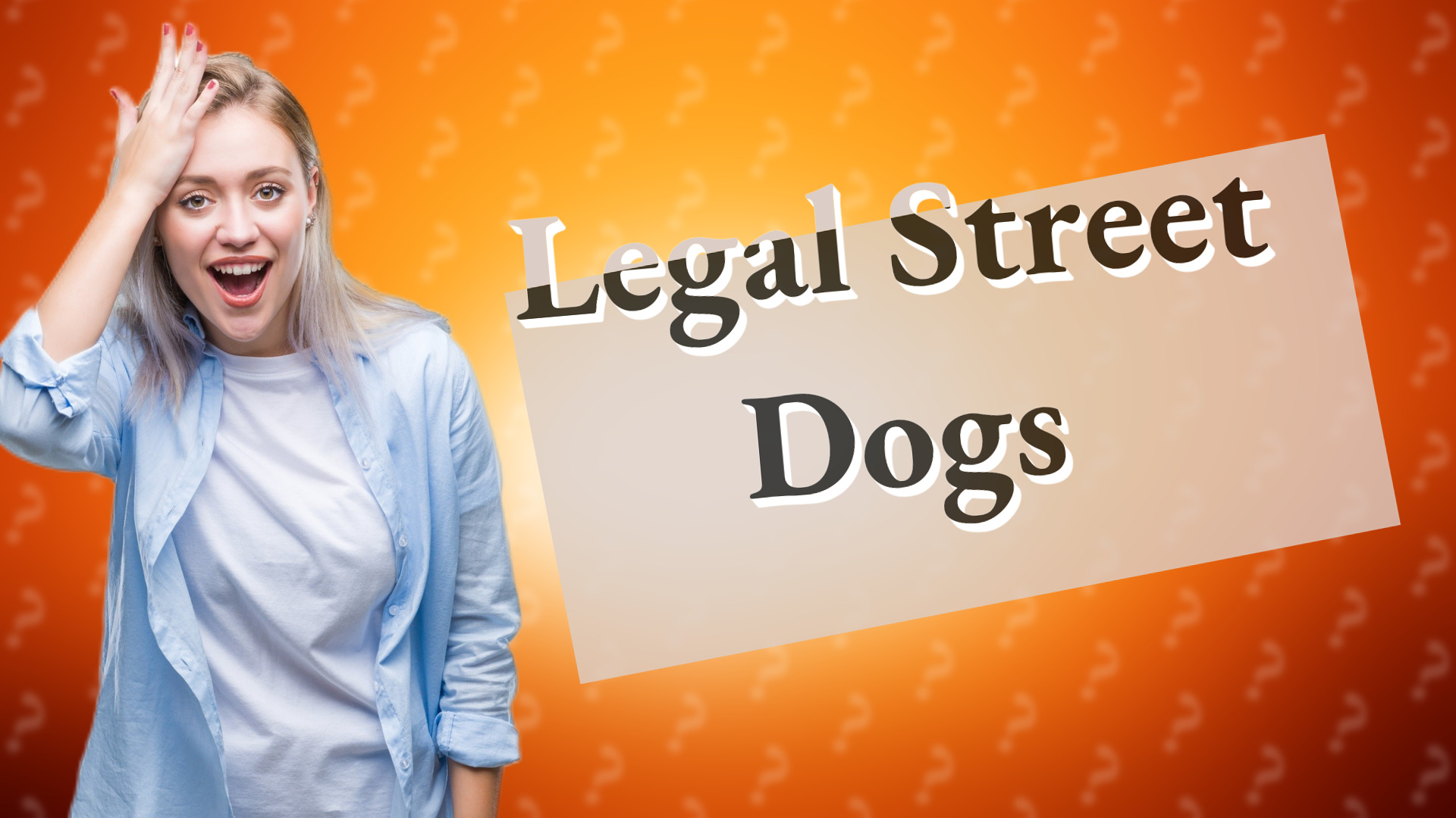 Legal Street Dogs