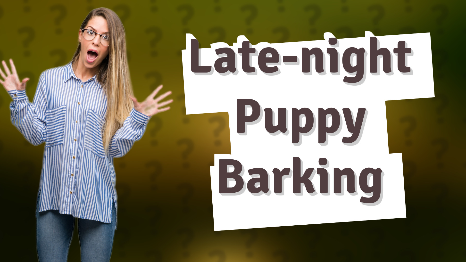 Late-night Puppy Barking