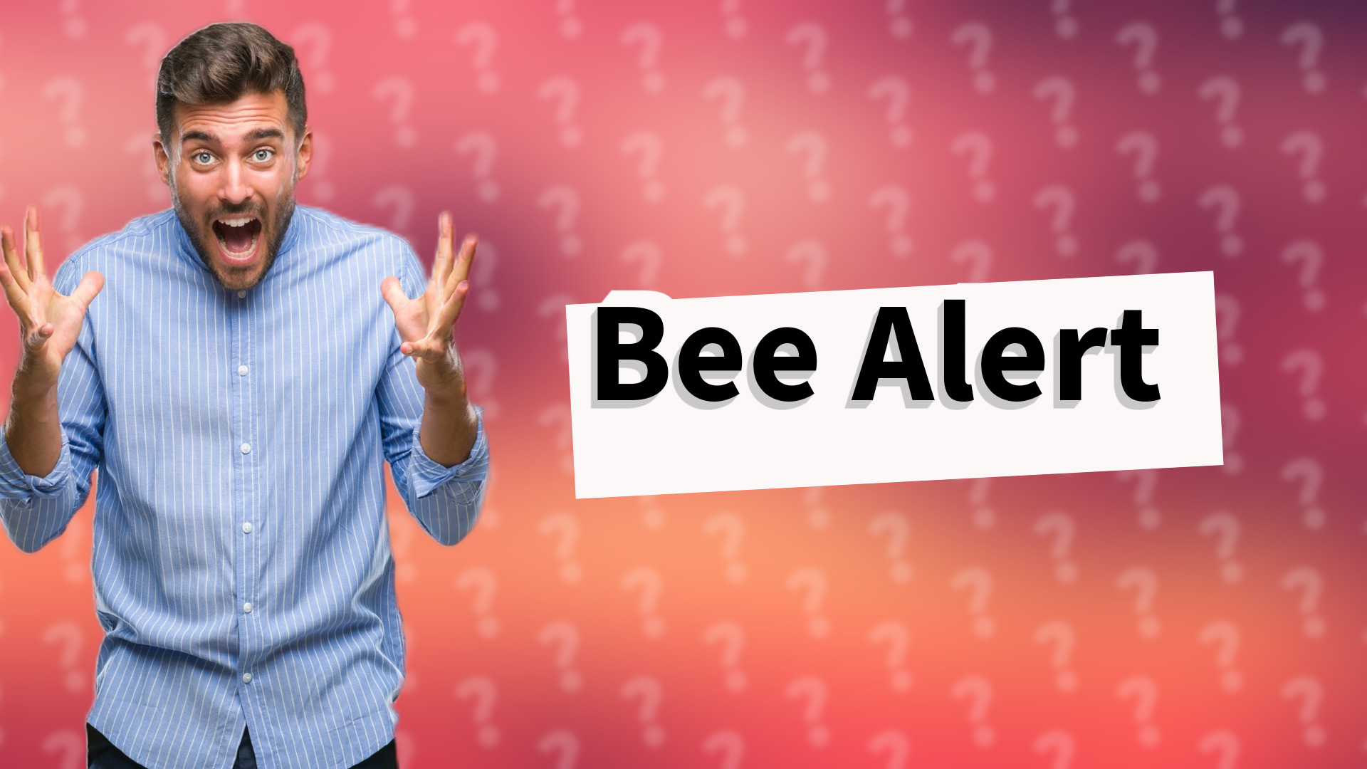 Bee Alert