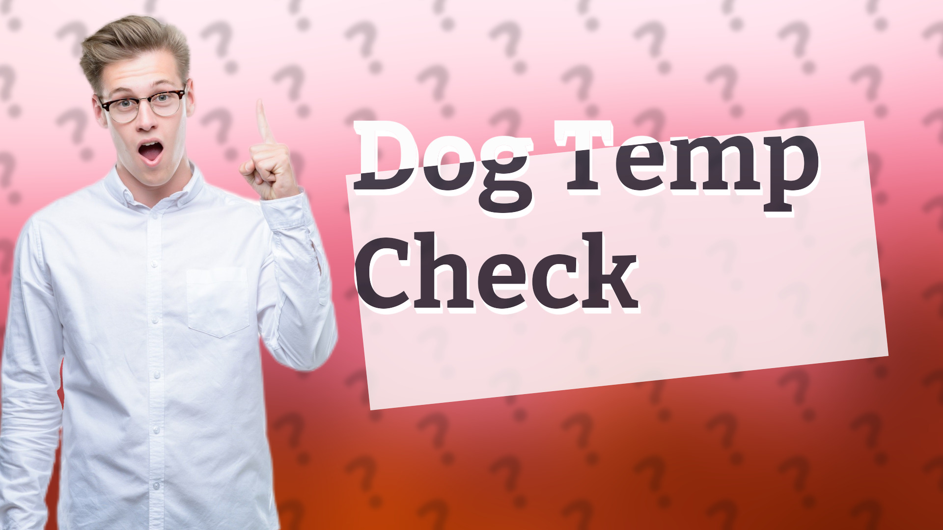 Dog Temp Check