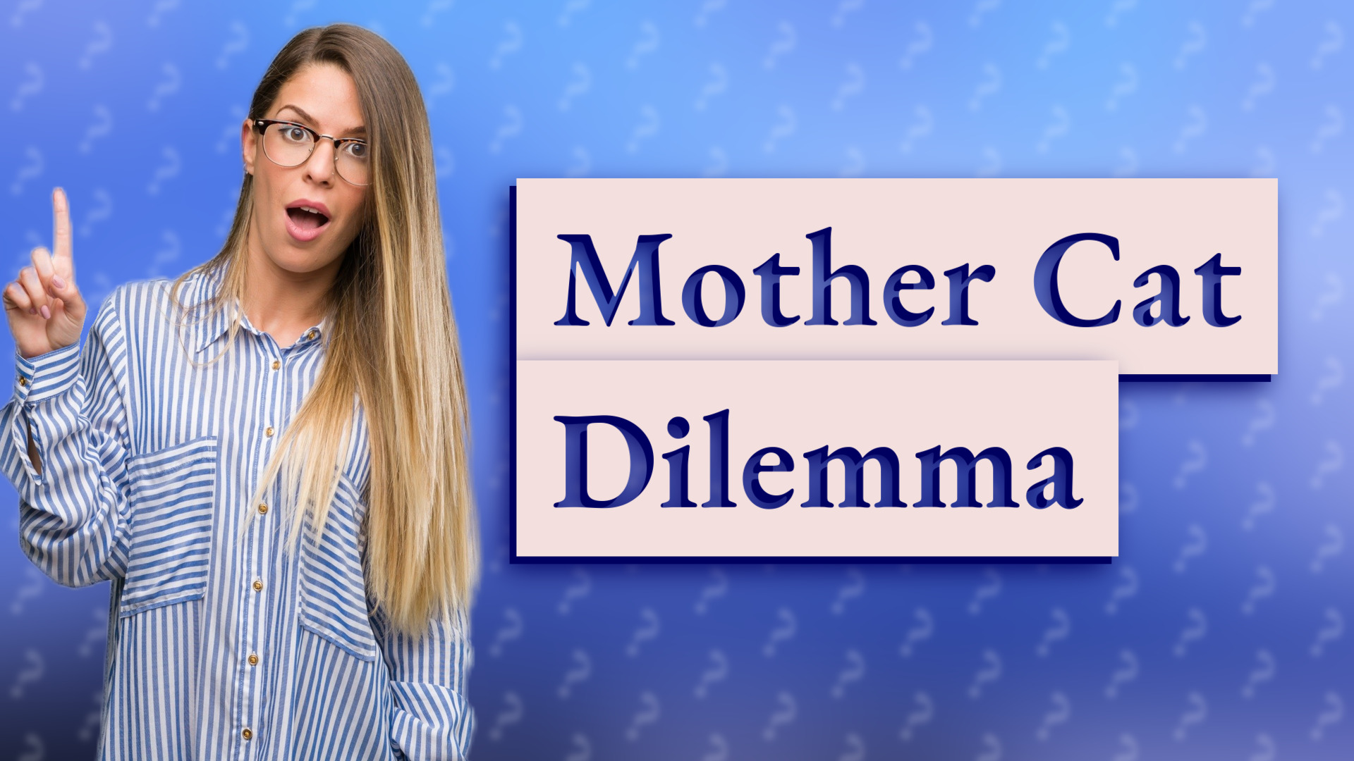 Mother Cat Dilemma