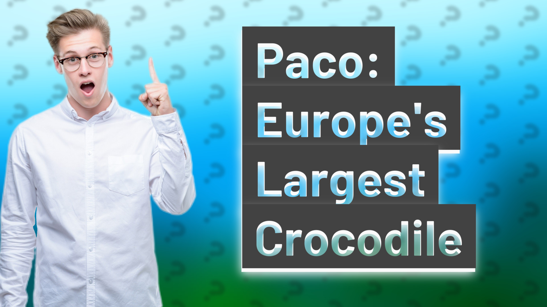 Paco: Europe's Largest Crocodile