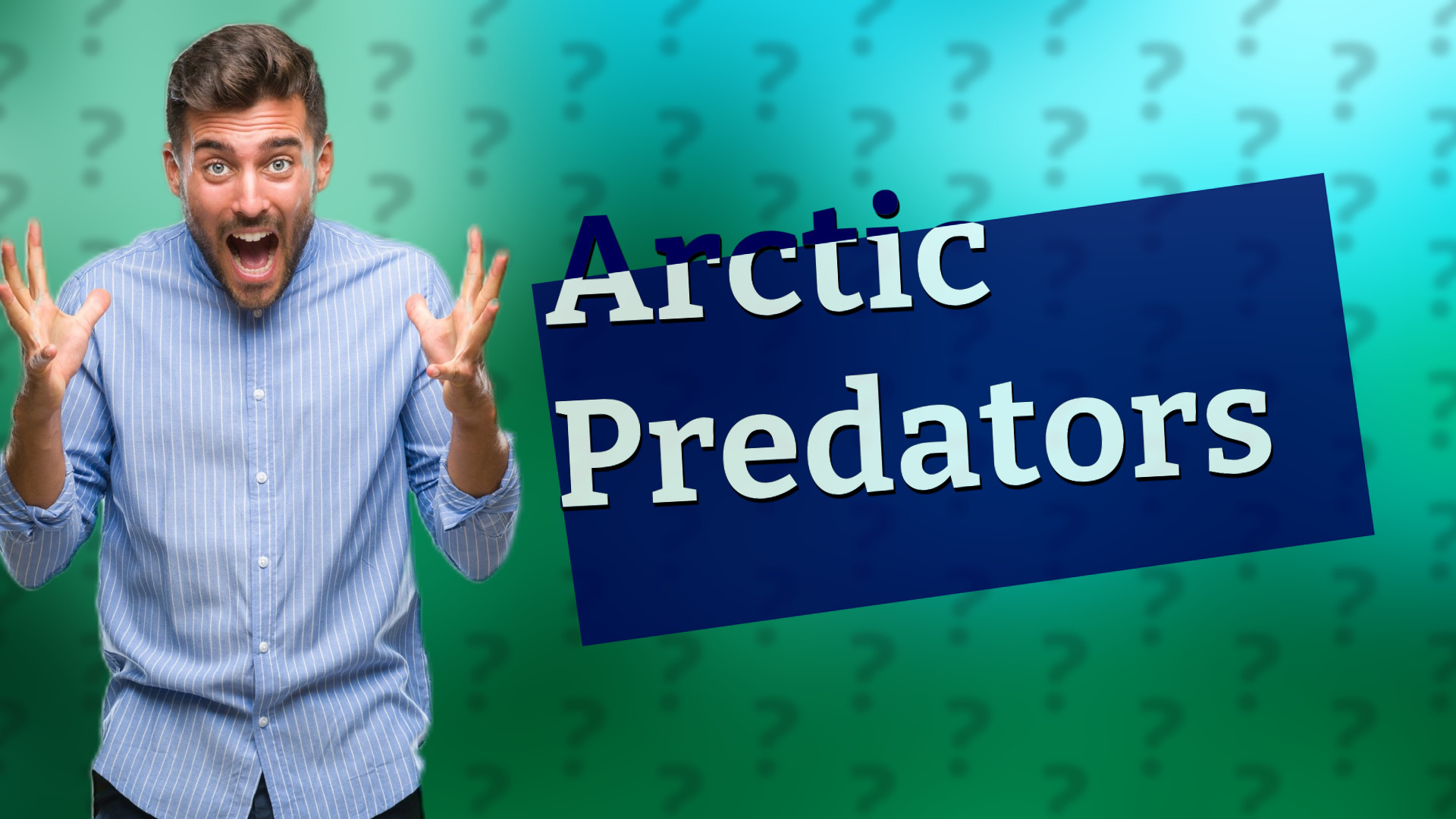 Arctic Predators