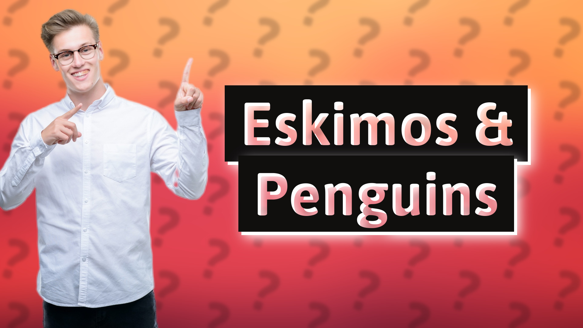 Eskimos & Penguins