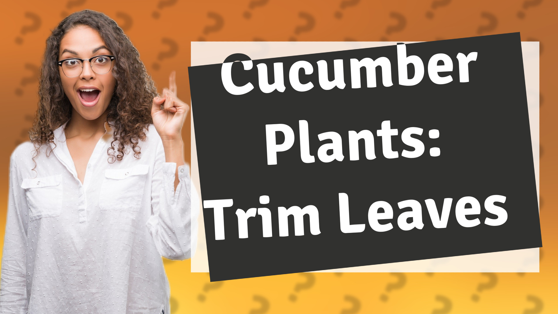 Cucumber Plants: Trim Leaves