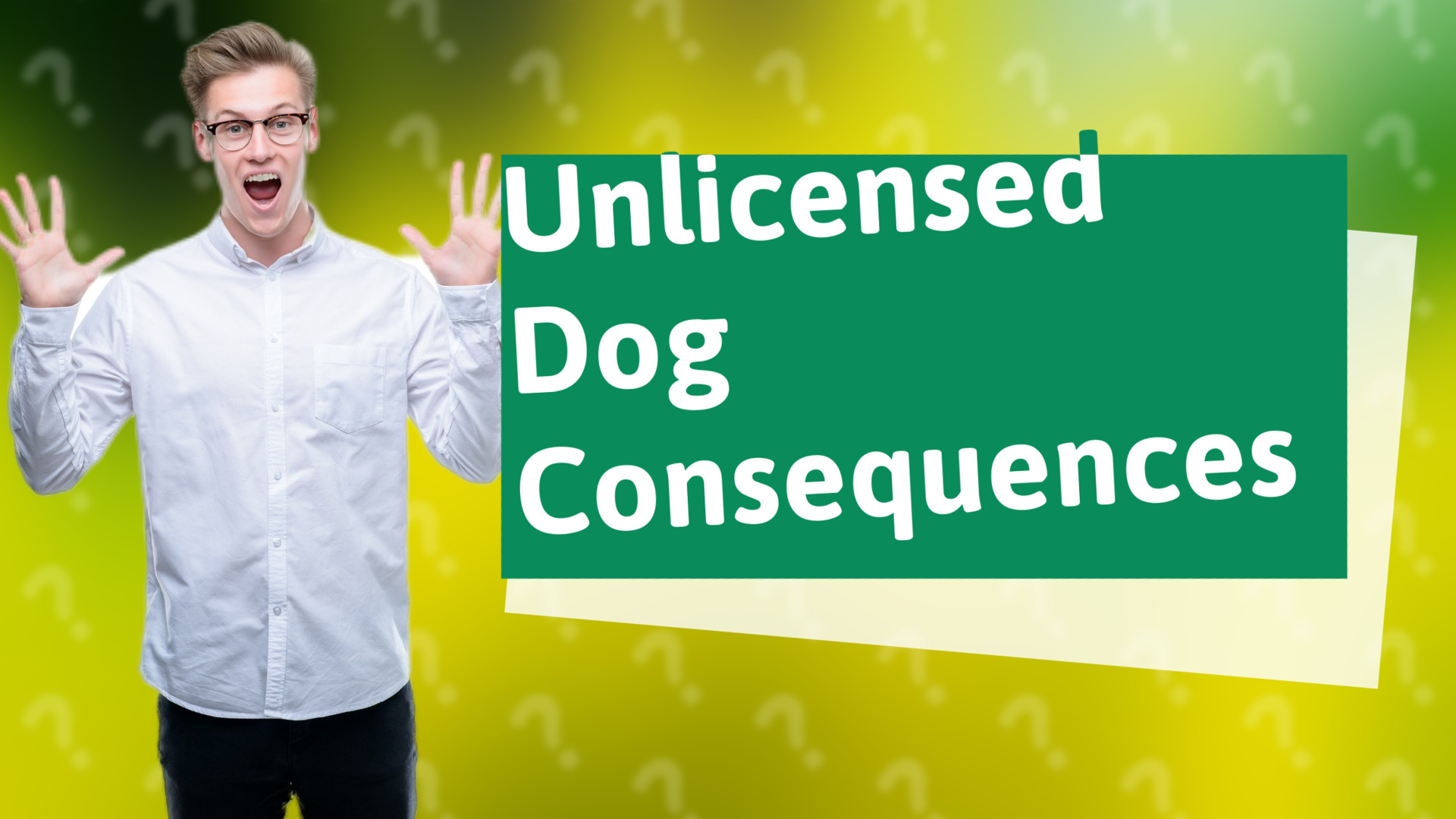 Unlicensed Dog Consequences