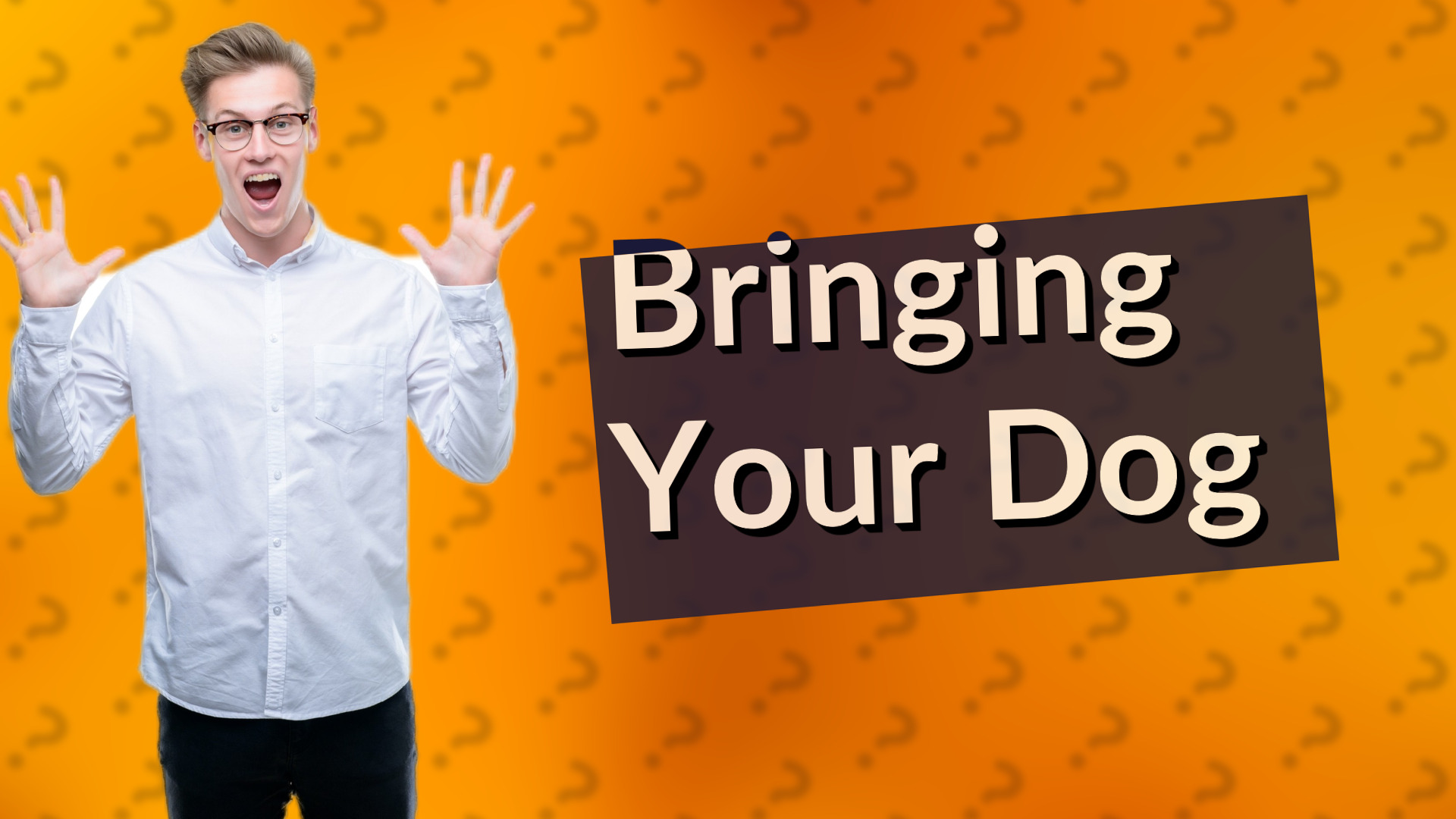 Bringing Your Dog