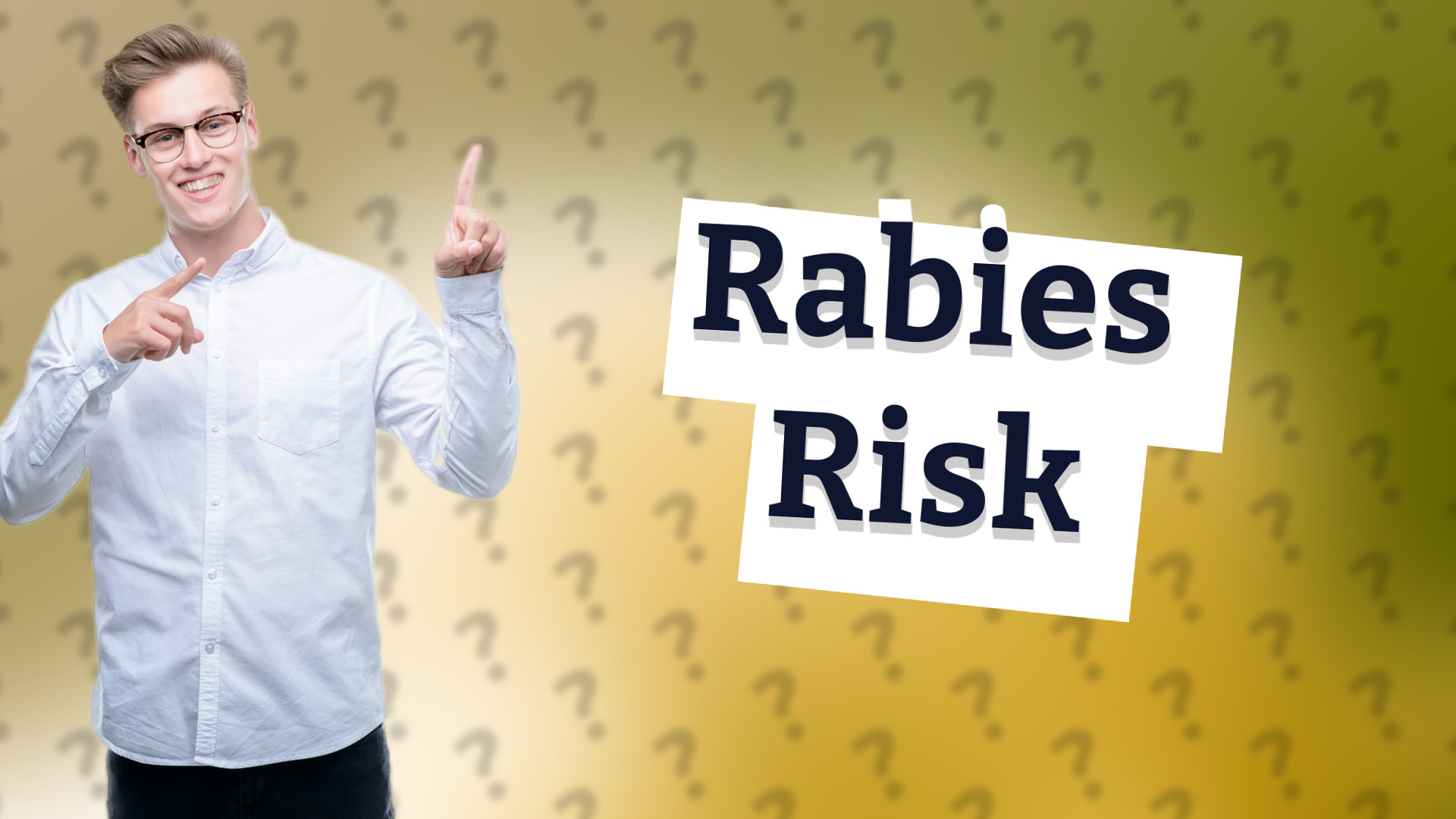 Rabies Risk