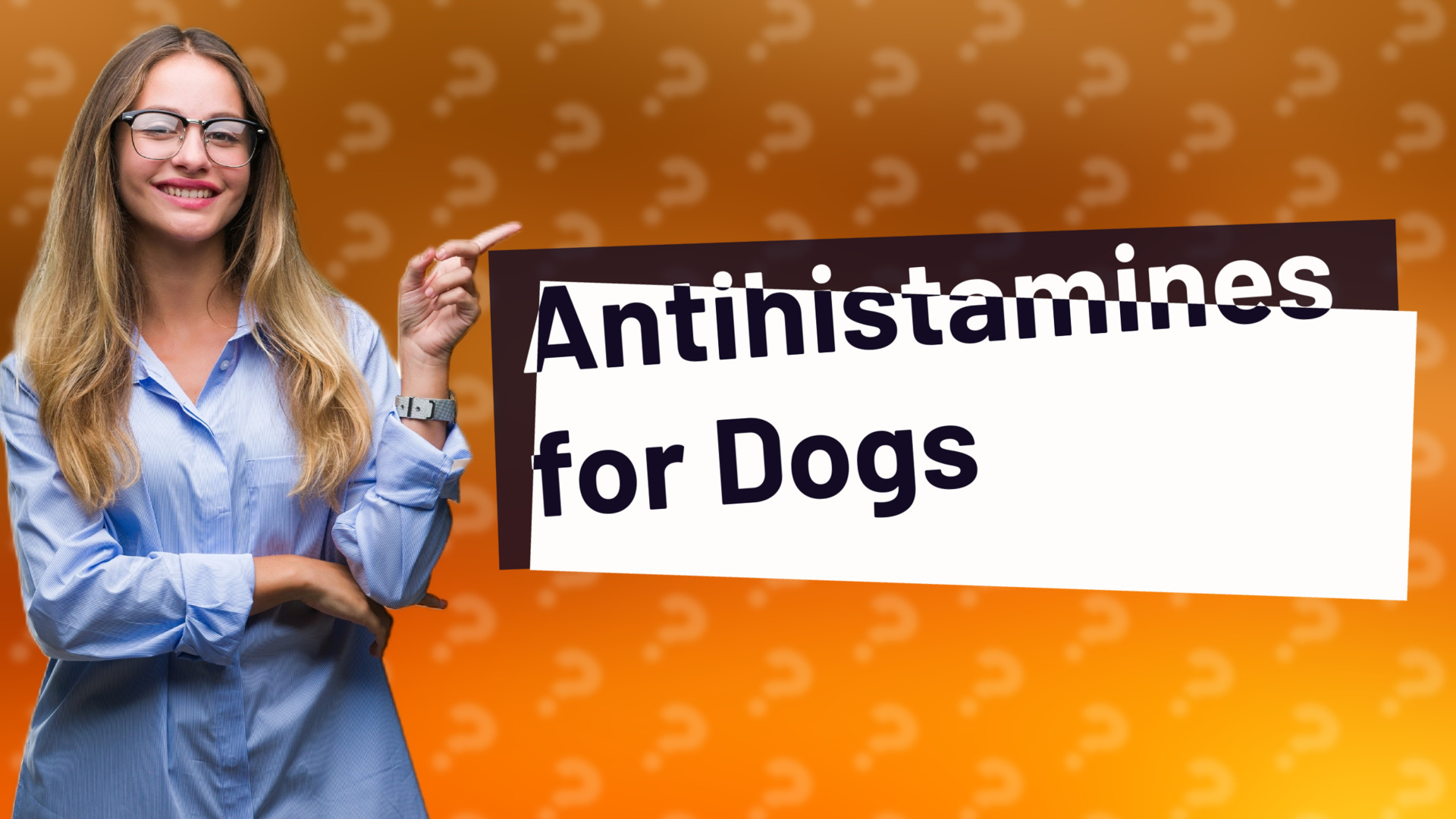 Antihistamines for Dogs