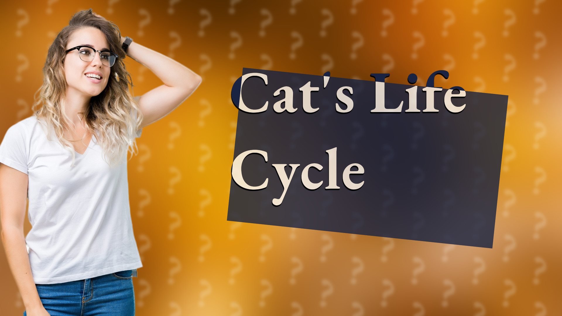 Cat's Life Cycle
