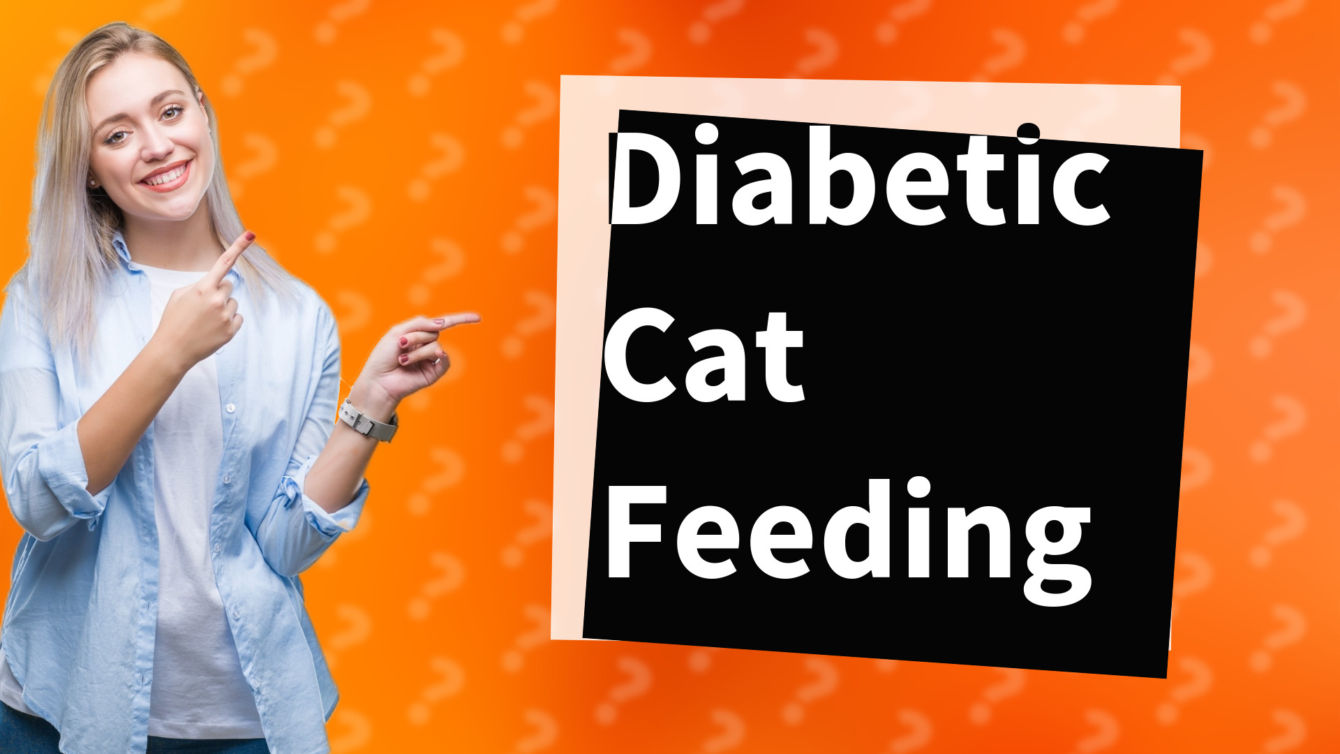 Diabetic Cat Feeding
