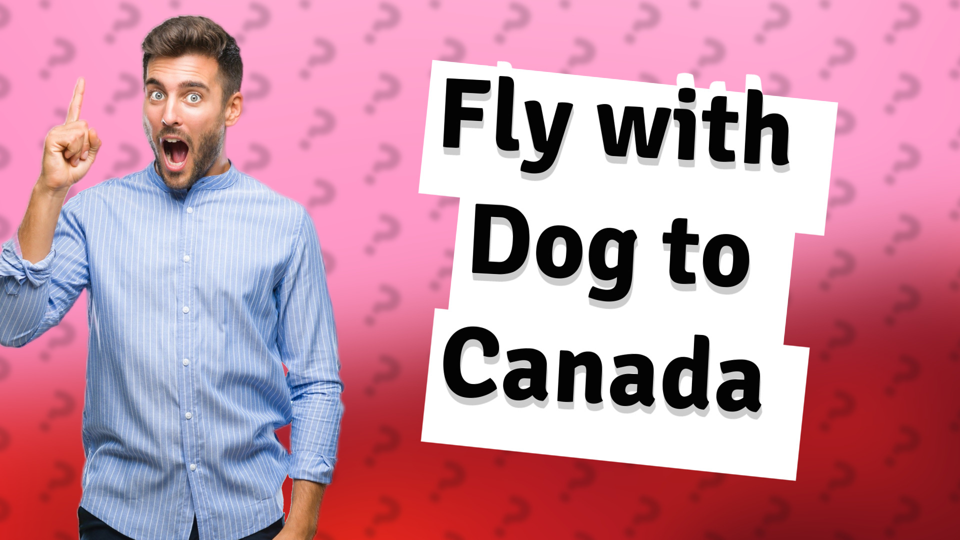 Fly with Dog to Canada