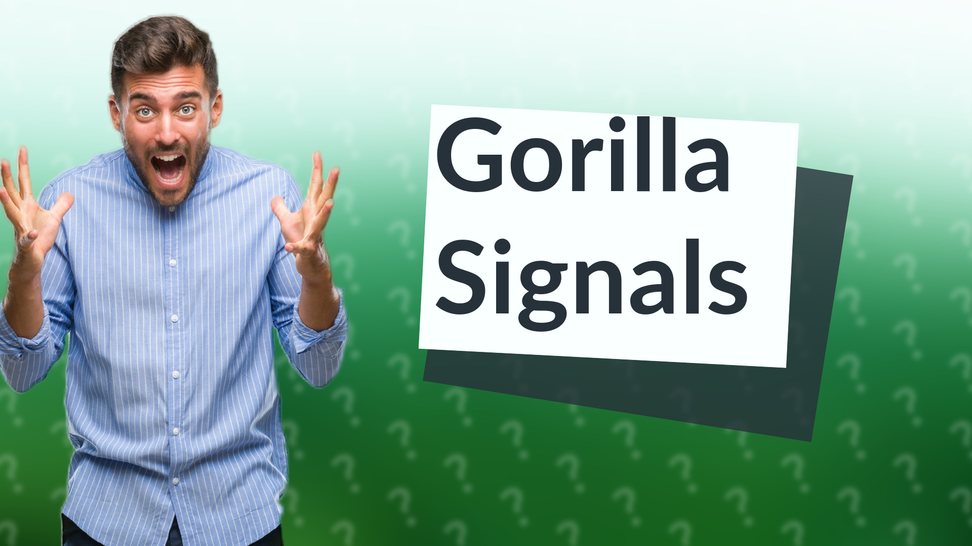 Gorilla Signals