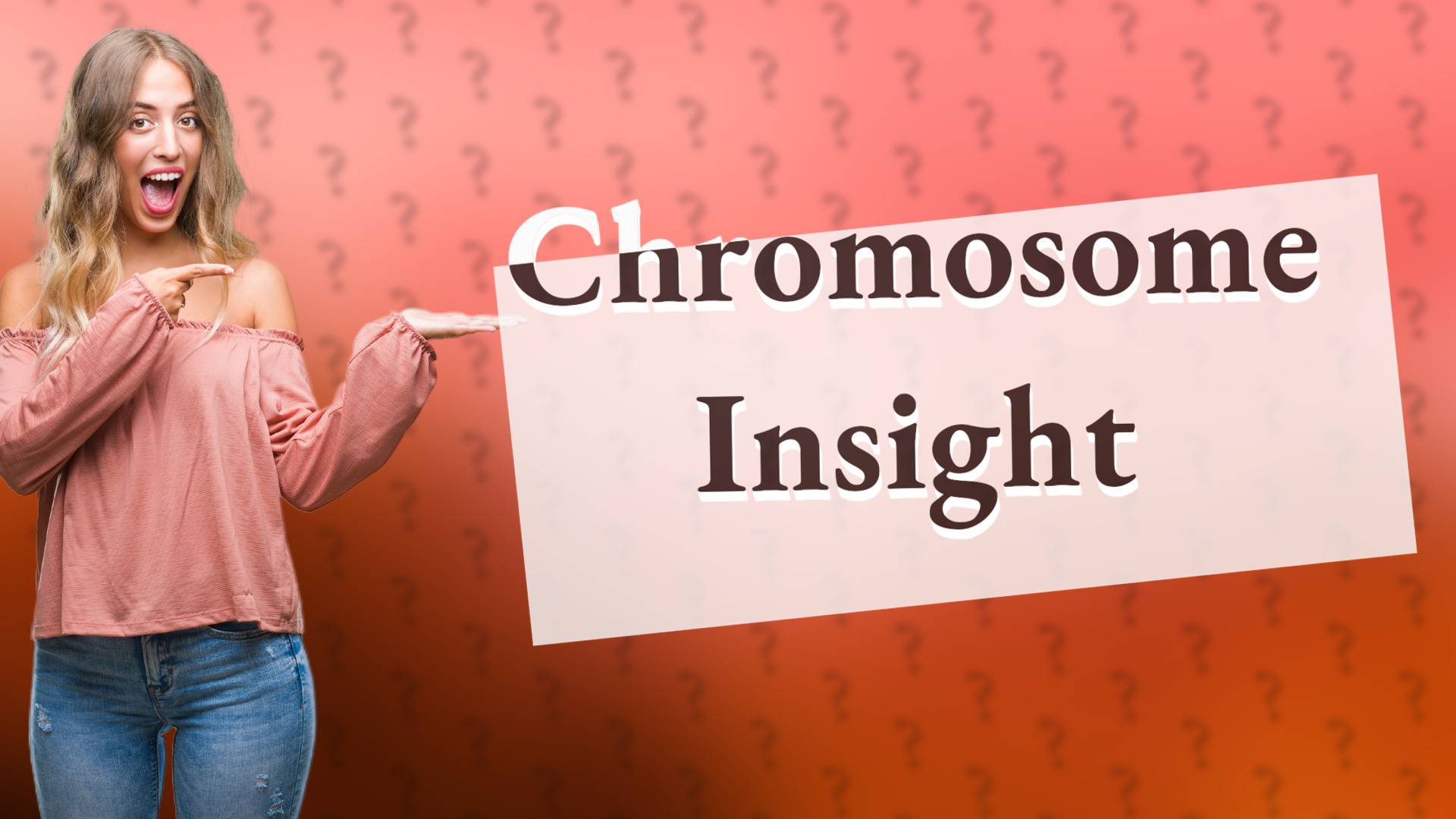 Chromosome Insight