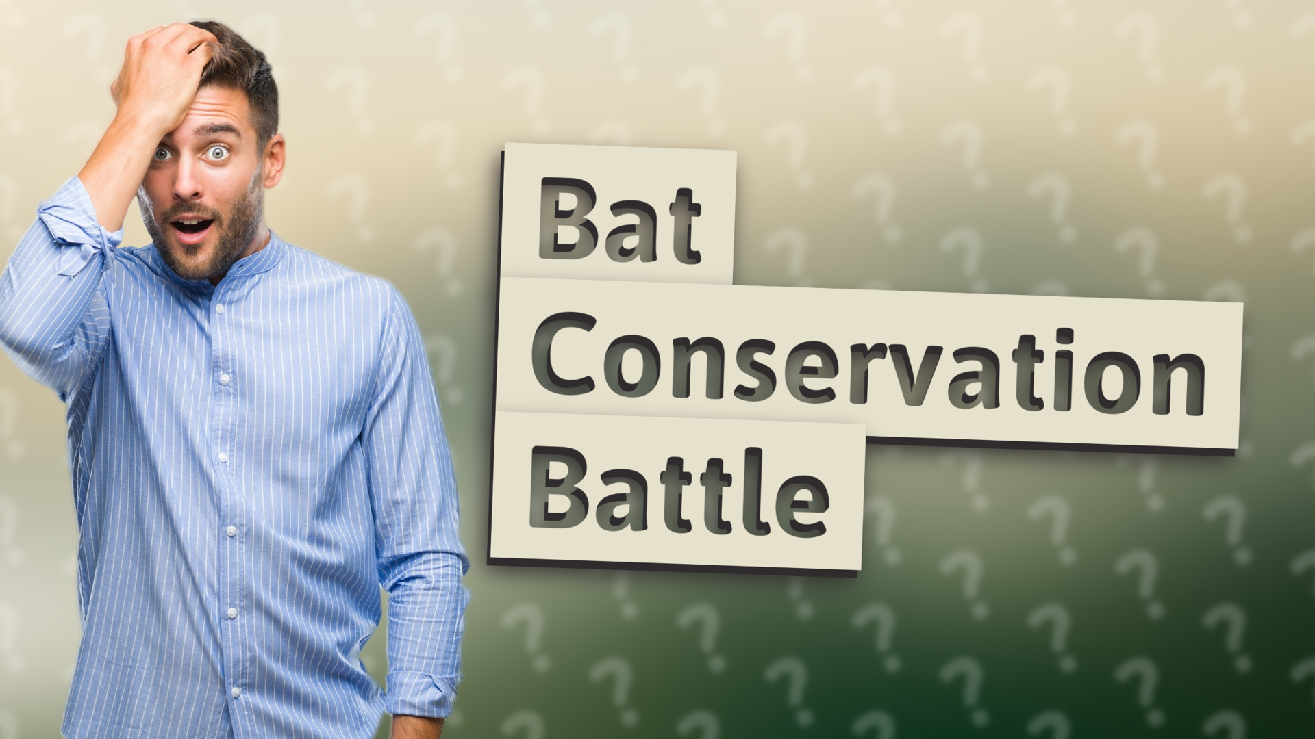 Bat Conservation Battle