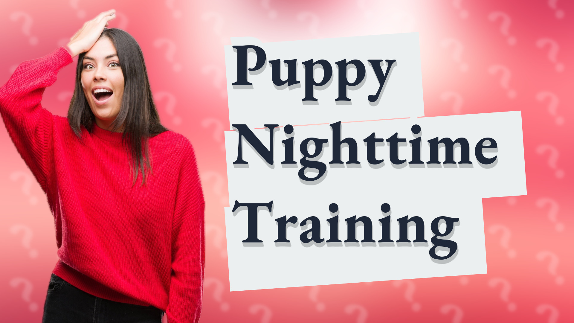 Puppy Nighttime Training