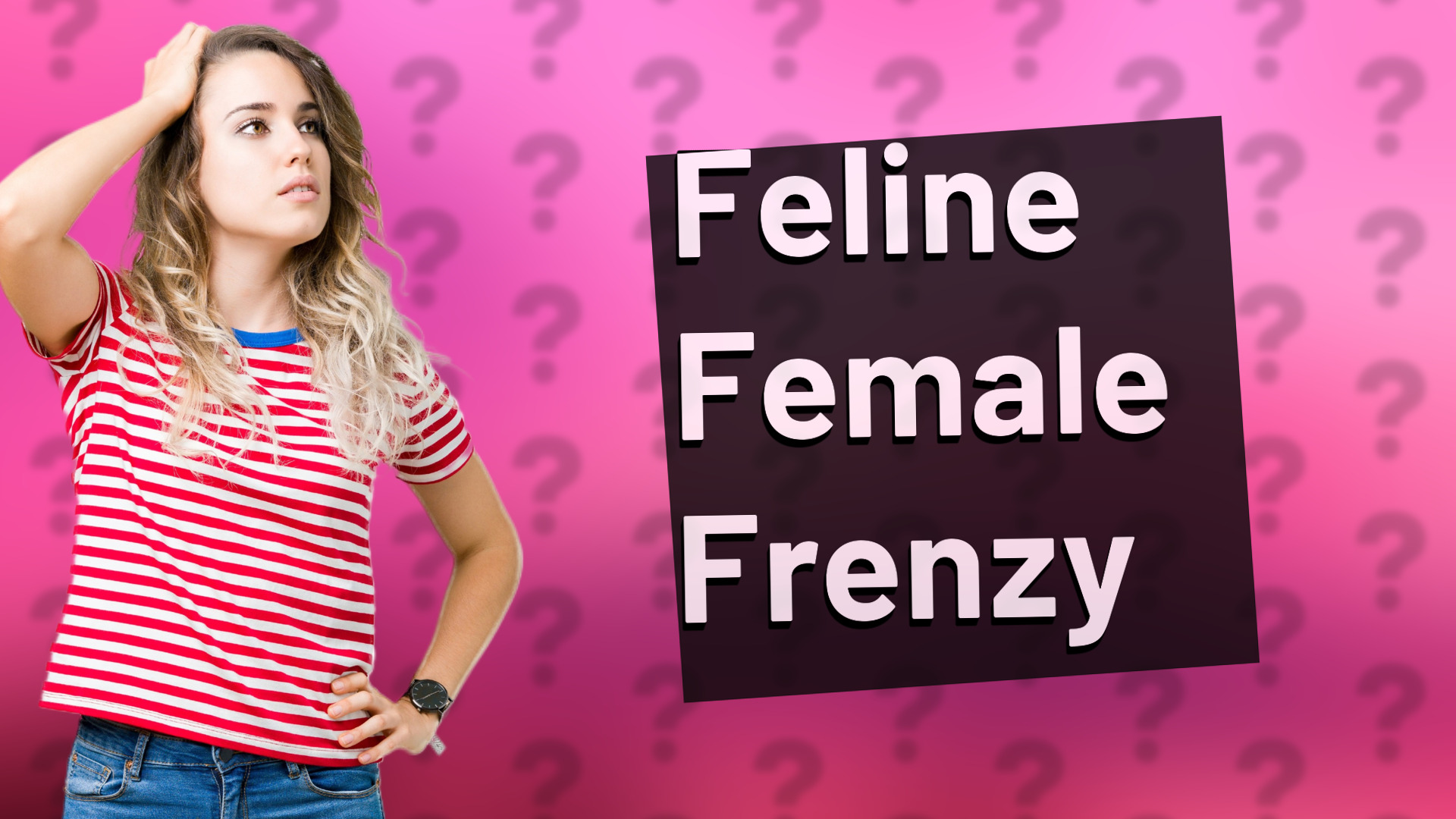 Feline Female Frenzy