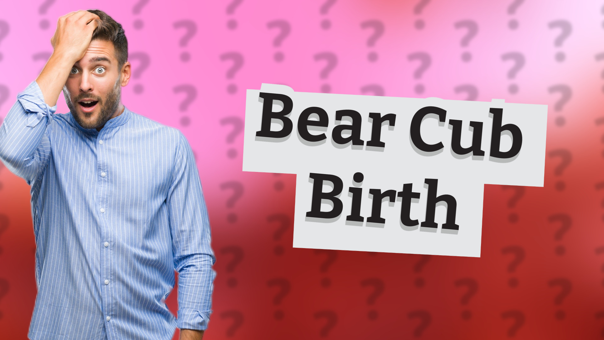 Bear Cub Birth