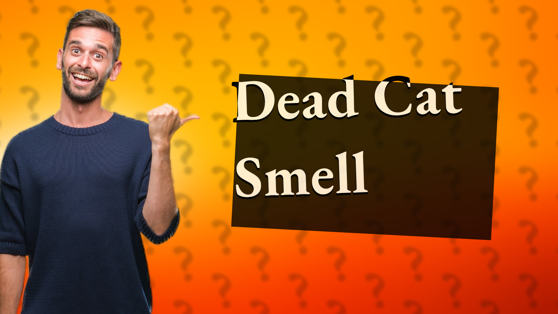 Dead Cat Smell