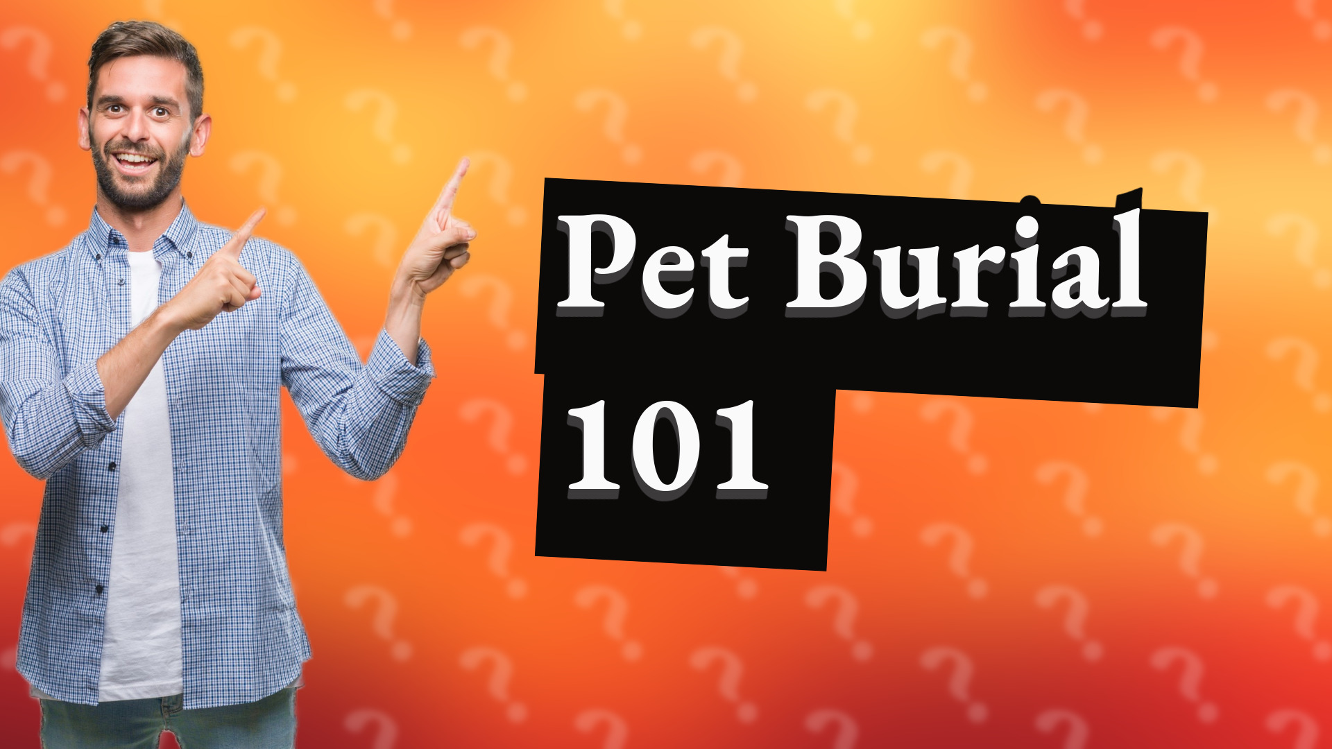 Pet Burial 101