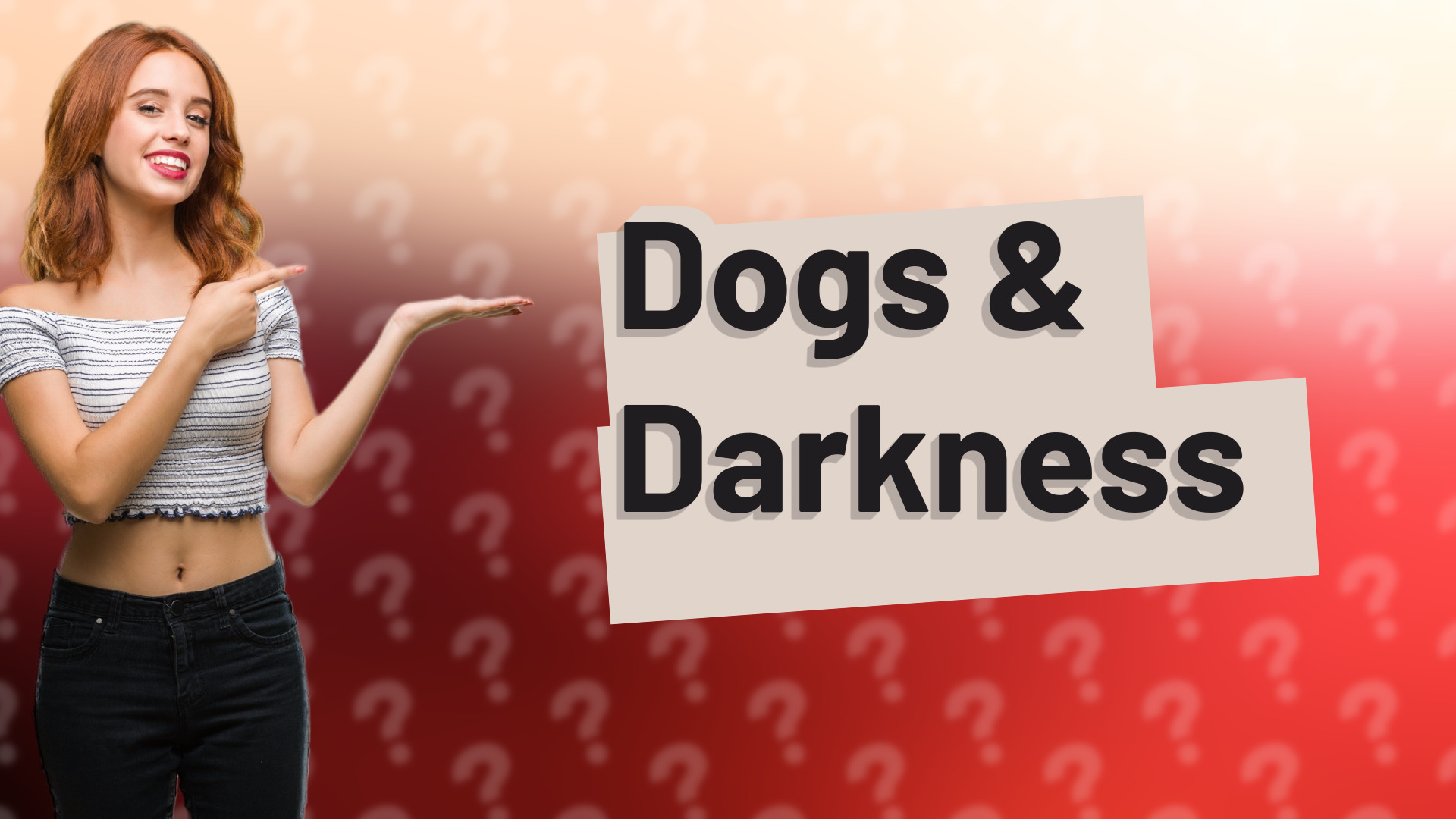 Dogs & Darkness