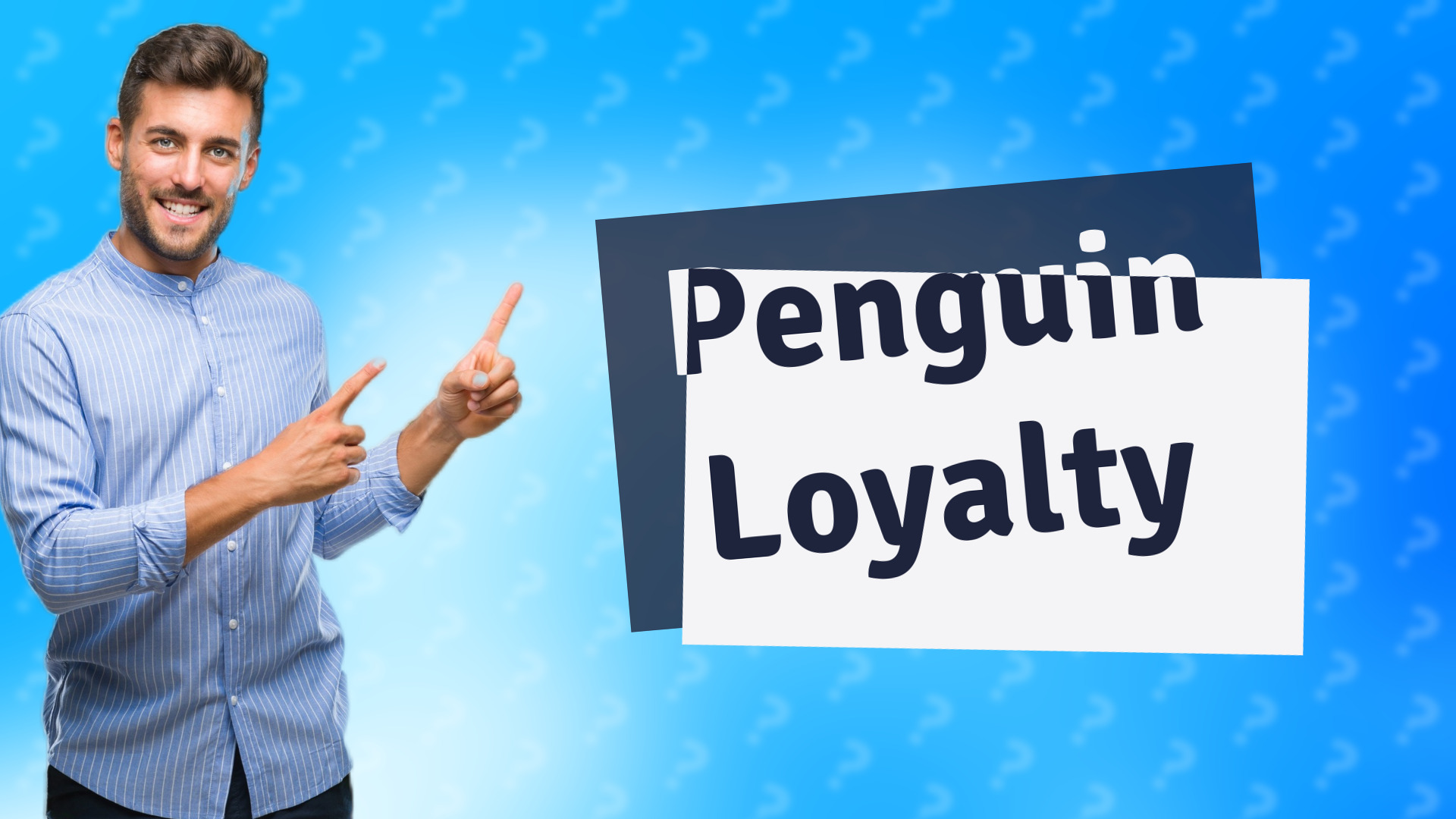 Penguin Loyalty
