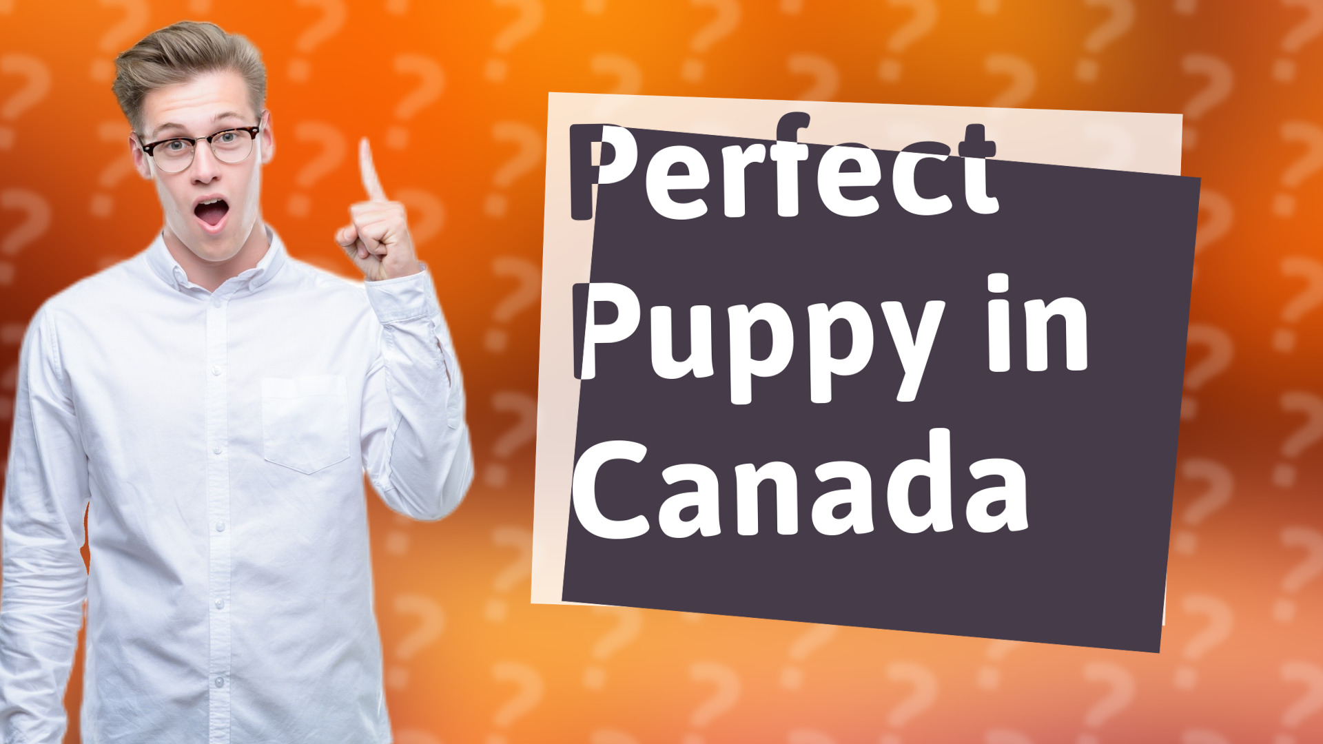 Perfect Puppy in Canada