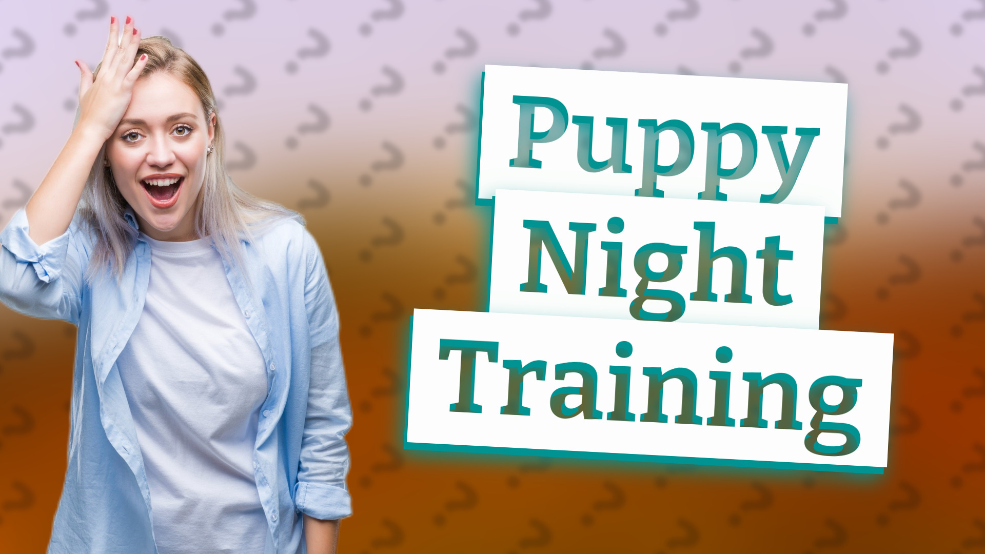 Puppy Night Training