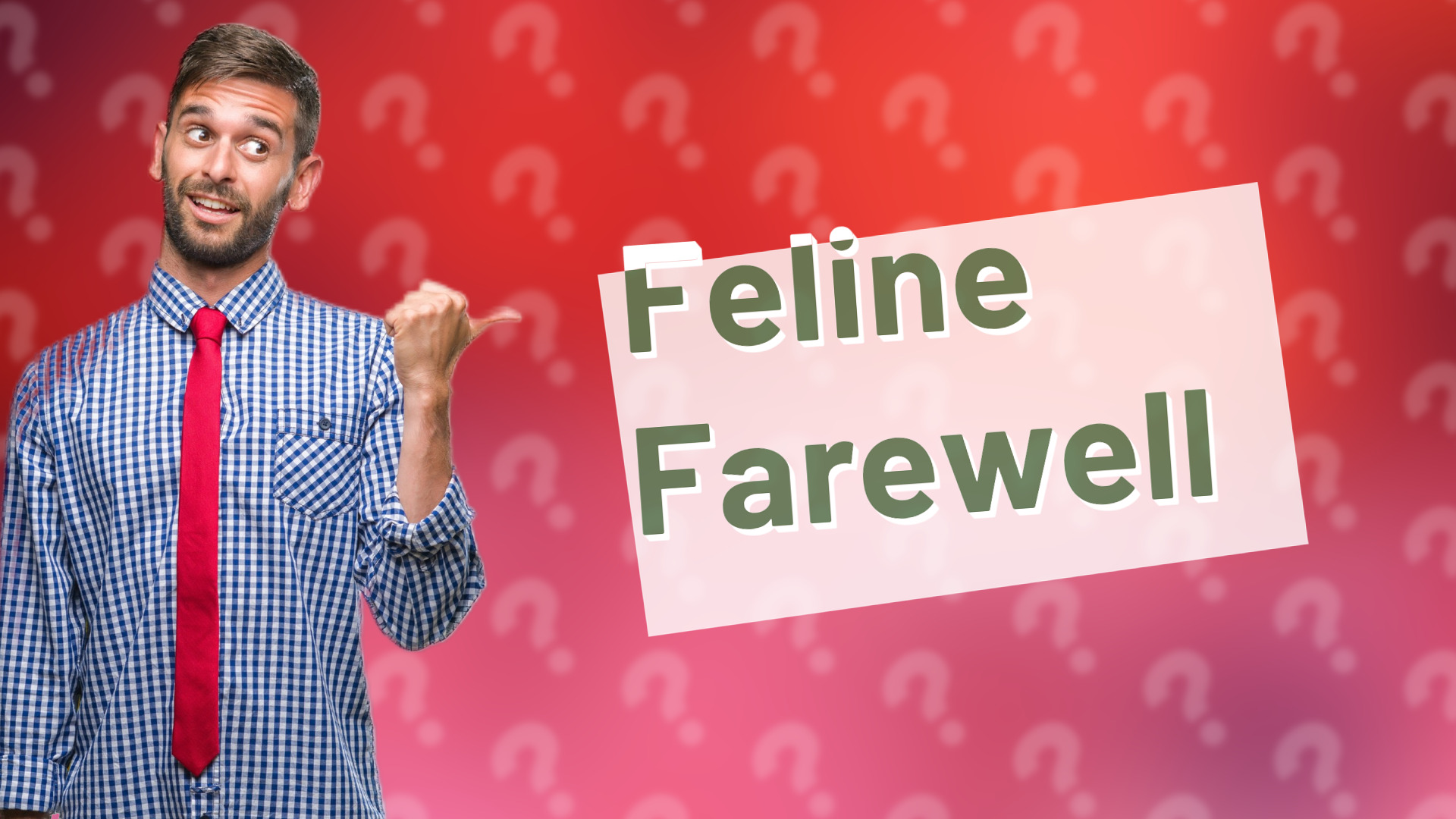 Feline Farewell