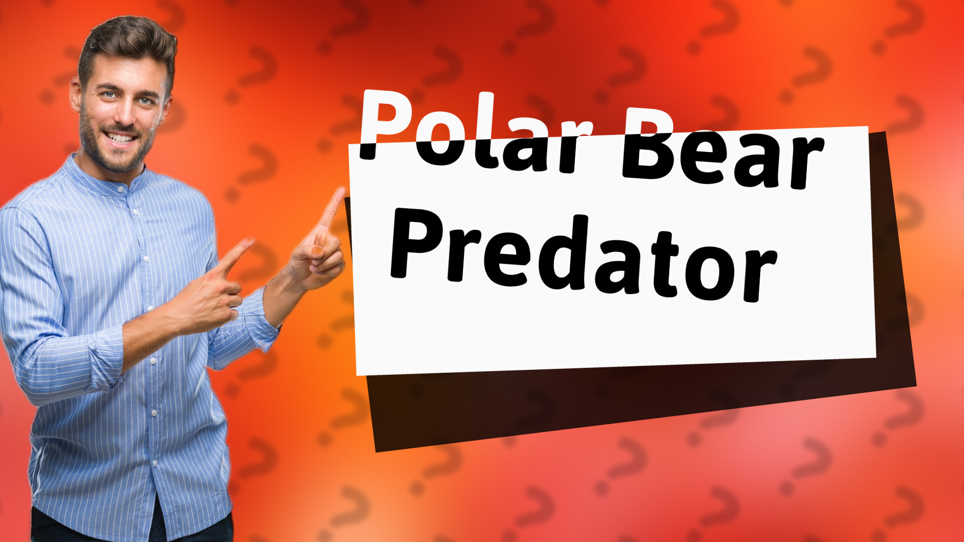 Polar Bear Predator