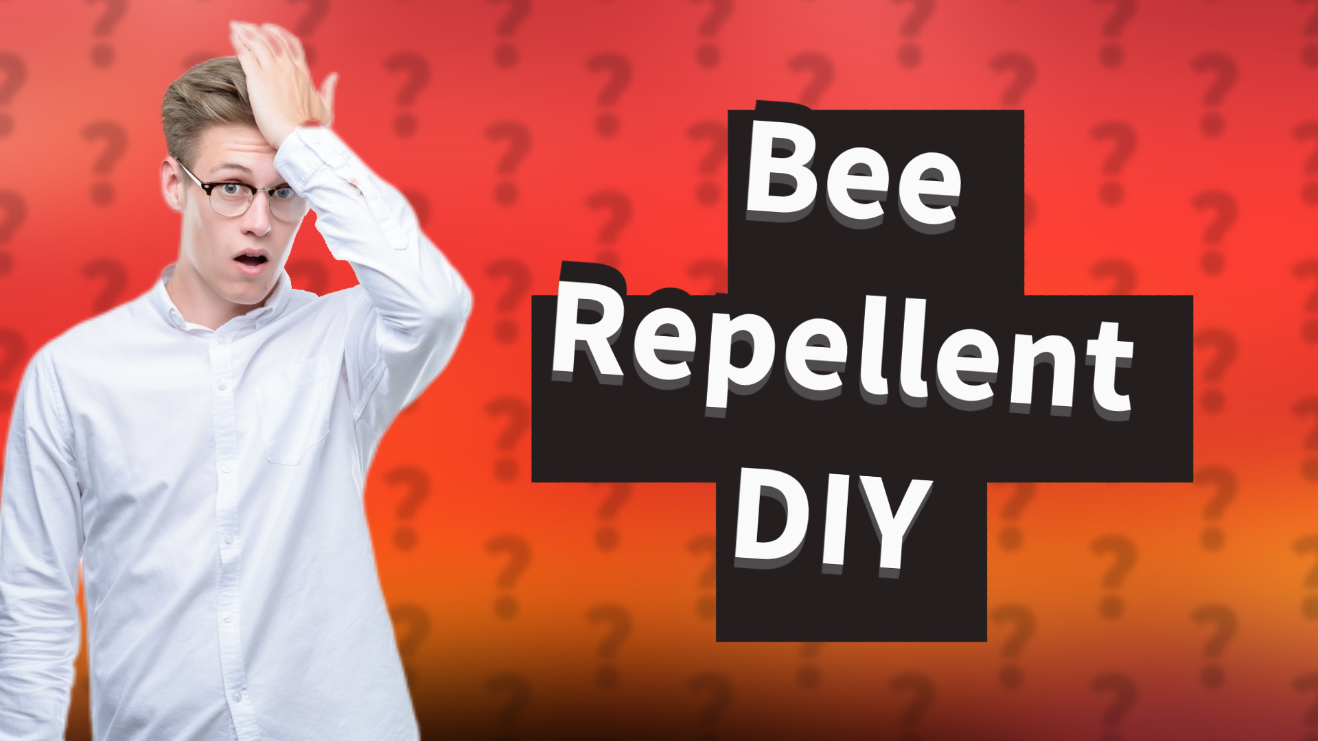 Bee Repellent DIY