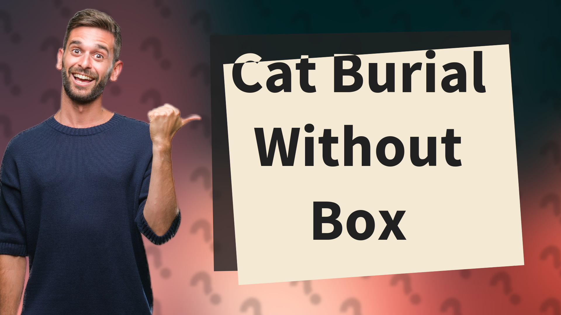 Cat Burial Without Box