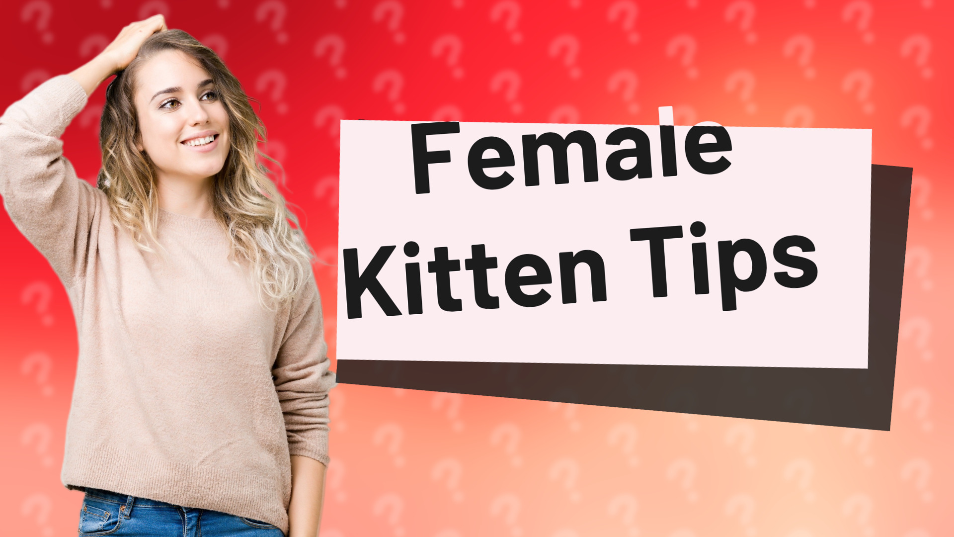 Female Kitten Tips