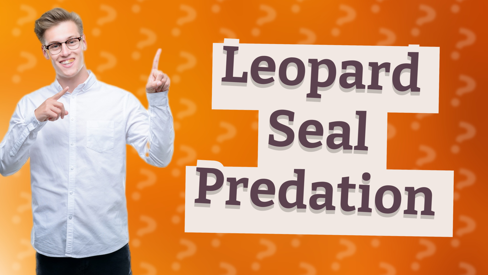 Leopard Seal Predation