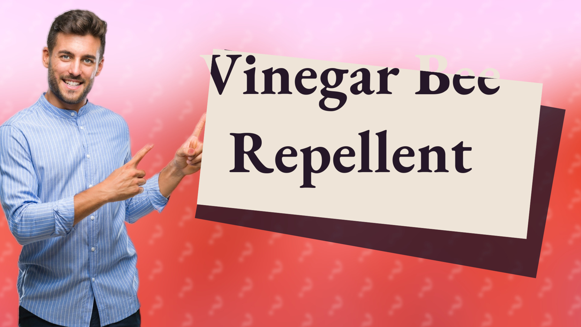 Vinegar Bee Repellent