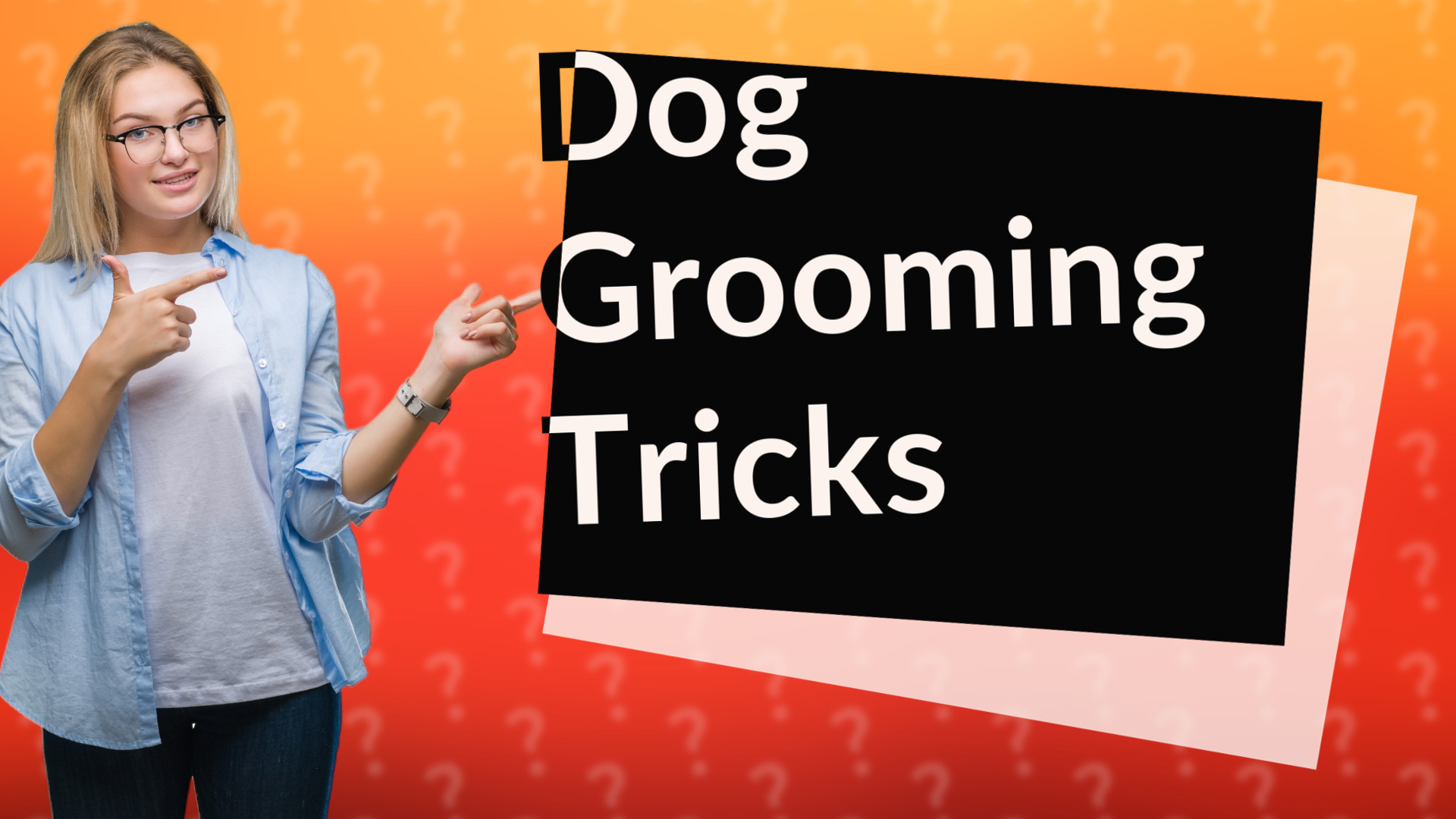Dog Grooming Tricks