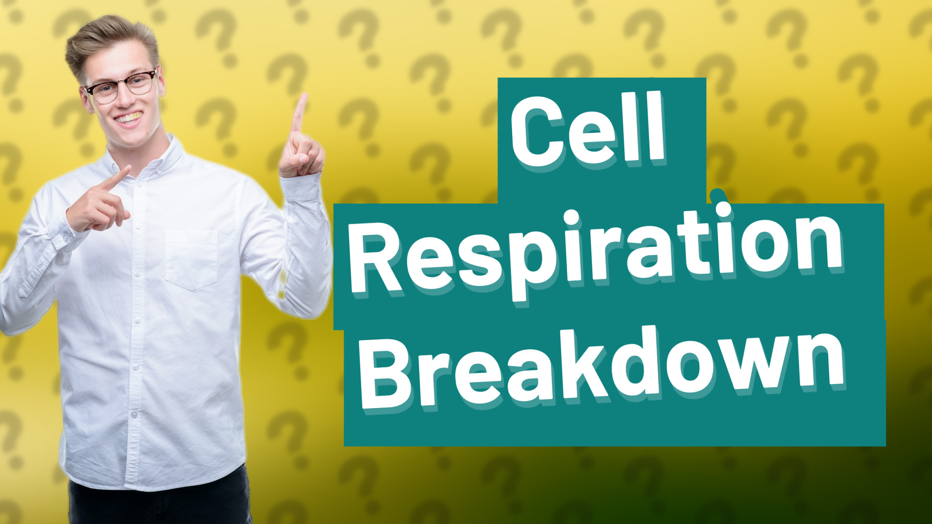 Cell Respiration Breakdown