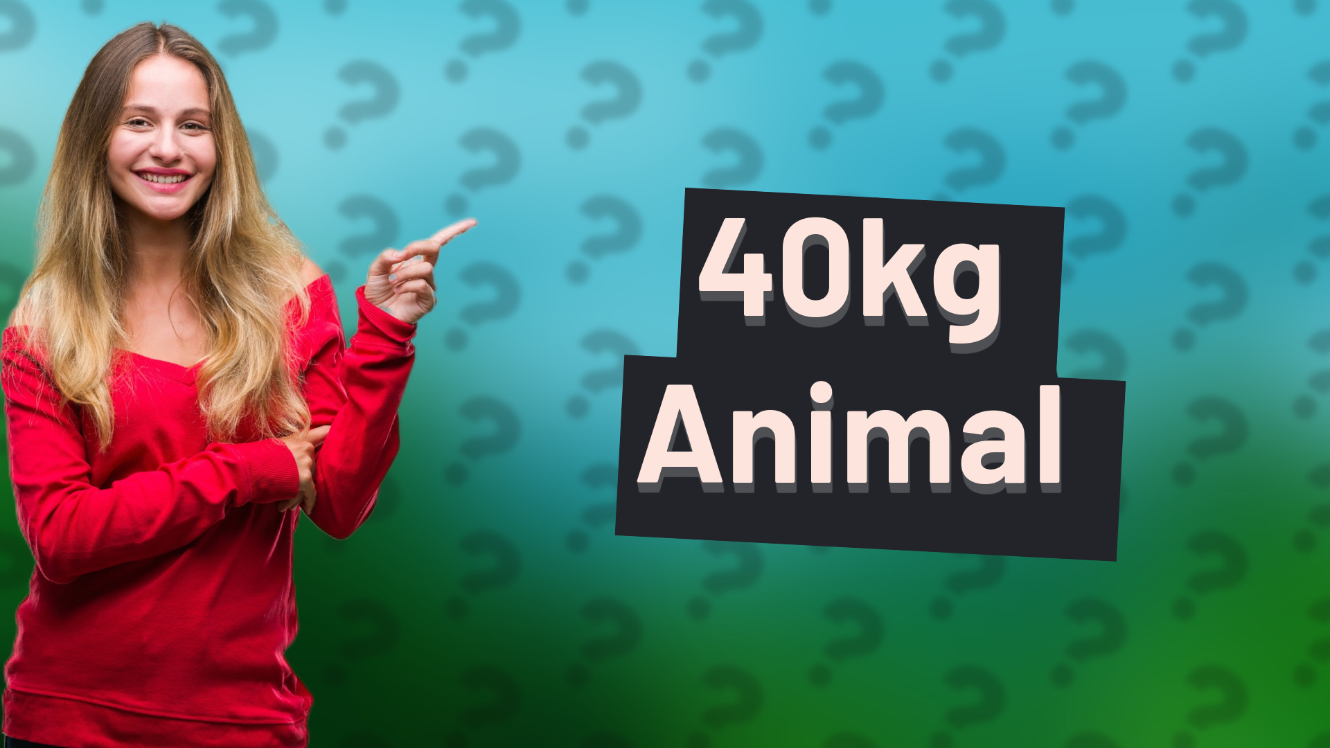40kg Animal