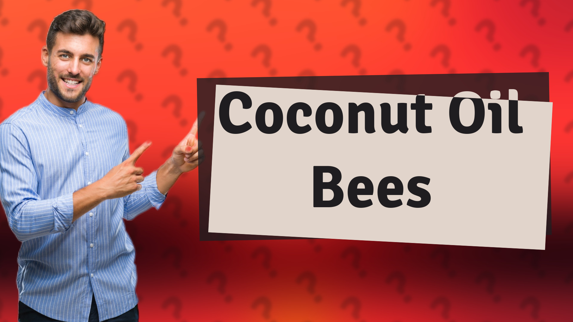 Coconut Oil Bees