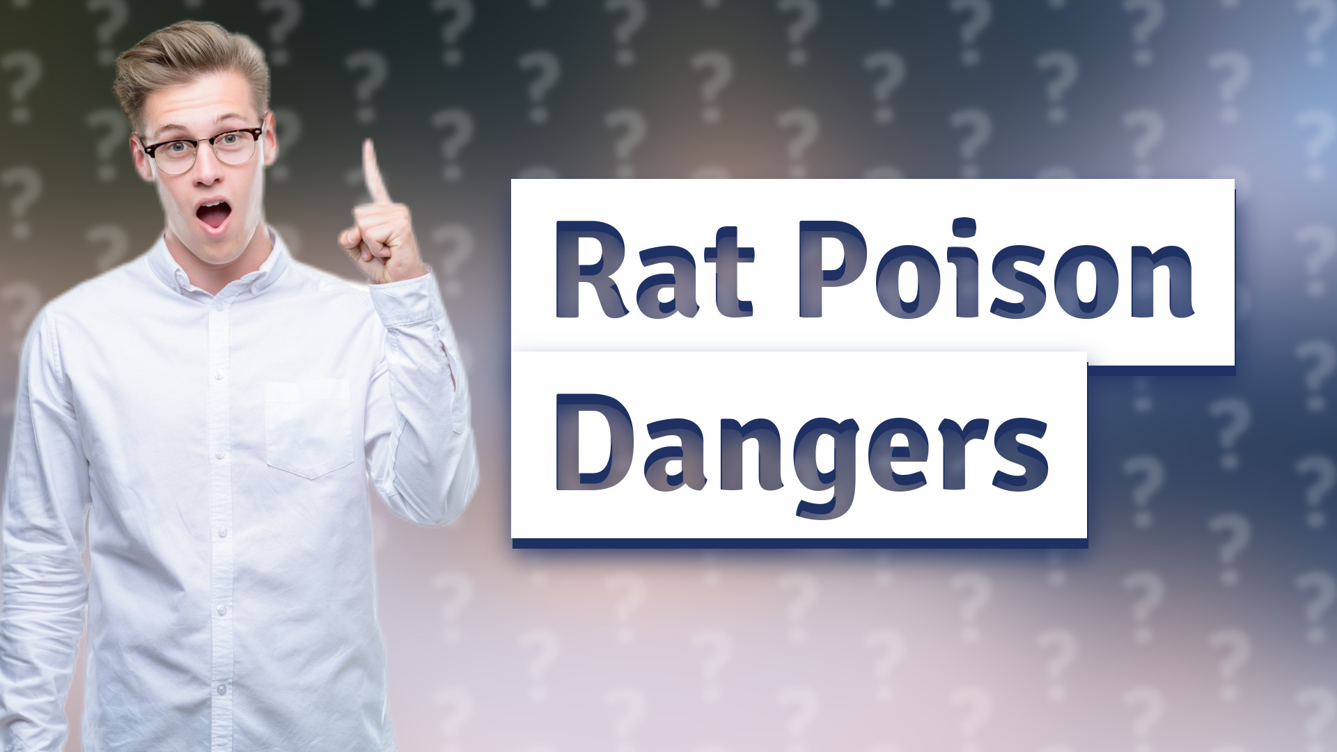 Rat Poison Dangers