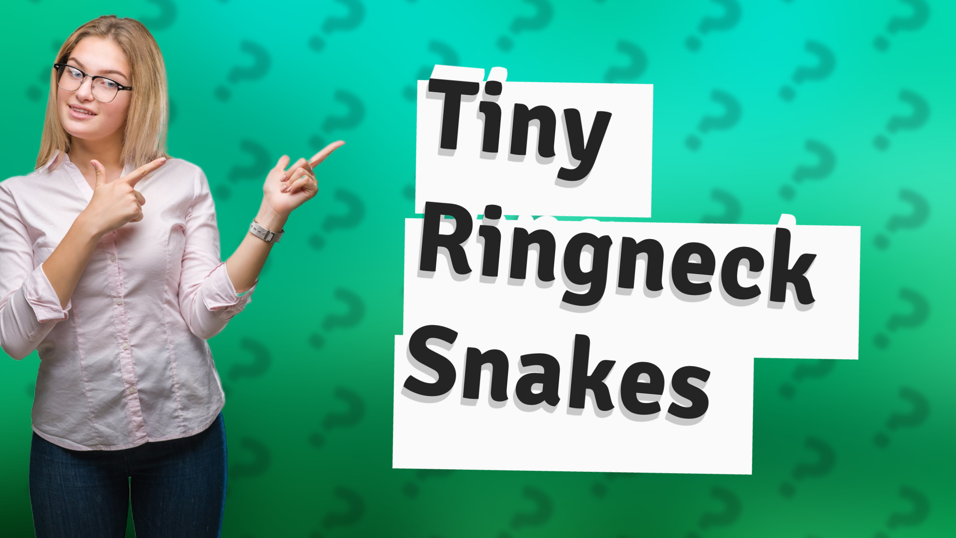 Tiny Ringneck Snakes